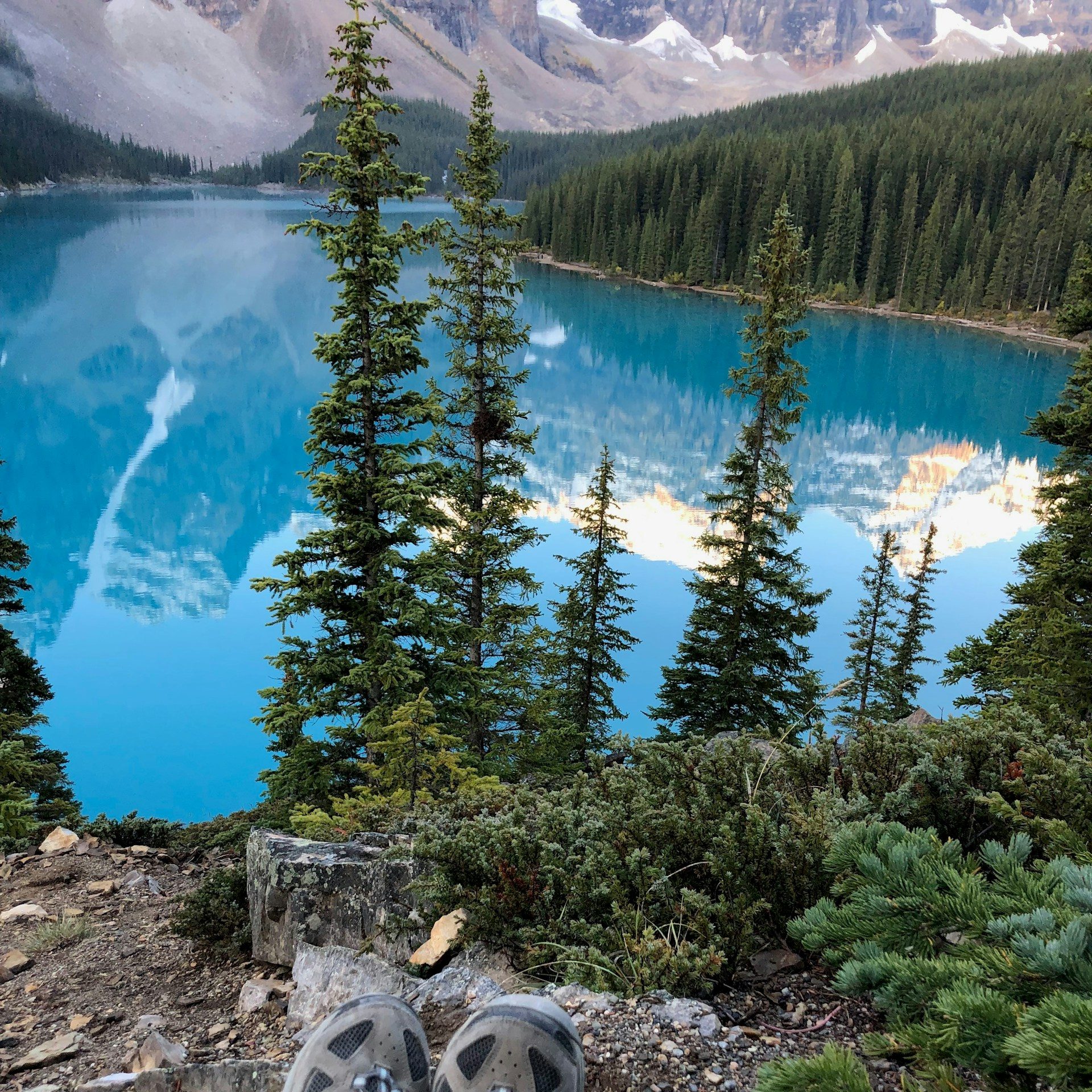 A turquoise mountain lake surrounded by forest in Banff, Canada