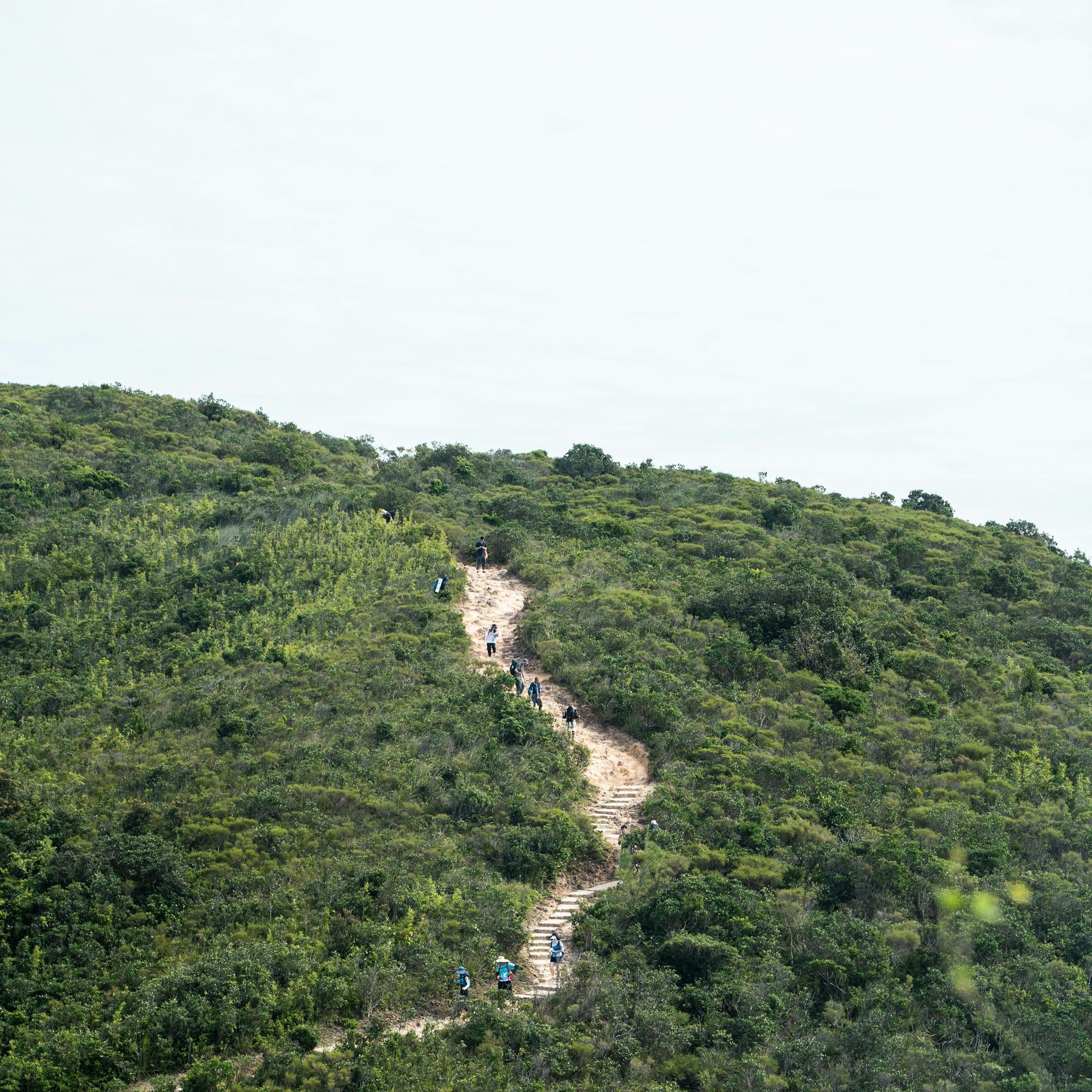 A mountain path overlooking the coast in Hong Kong