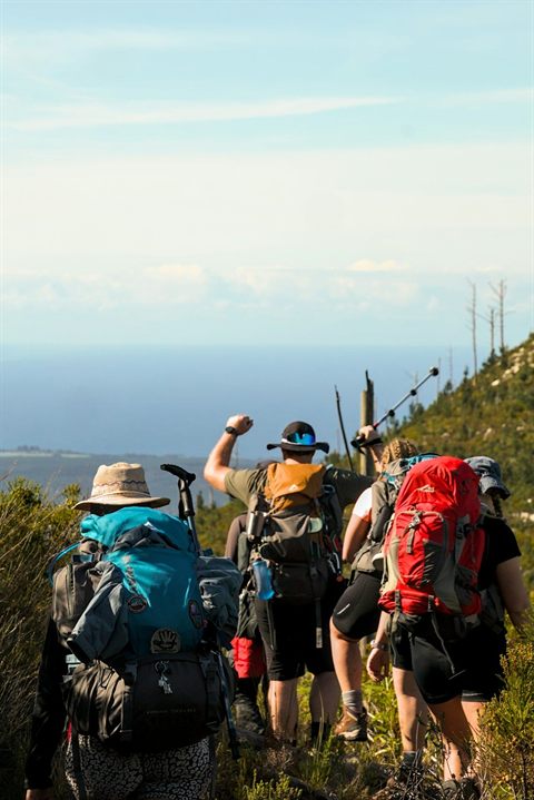 A group of backpackers ascending a sunny mountain trail above the sea