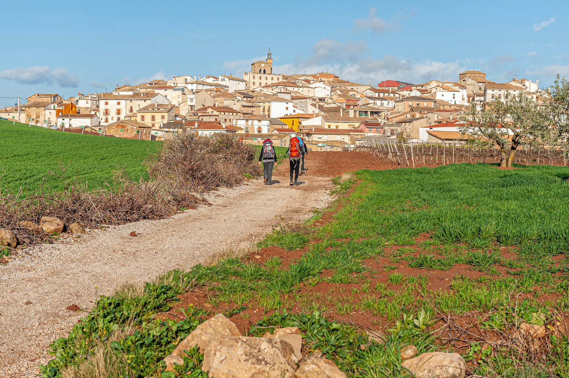 Pilgrims walking a rural stretch of the Camino de Santiago in Spain