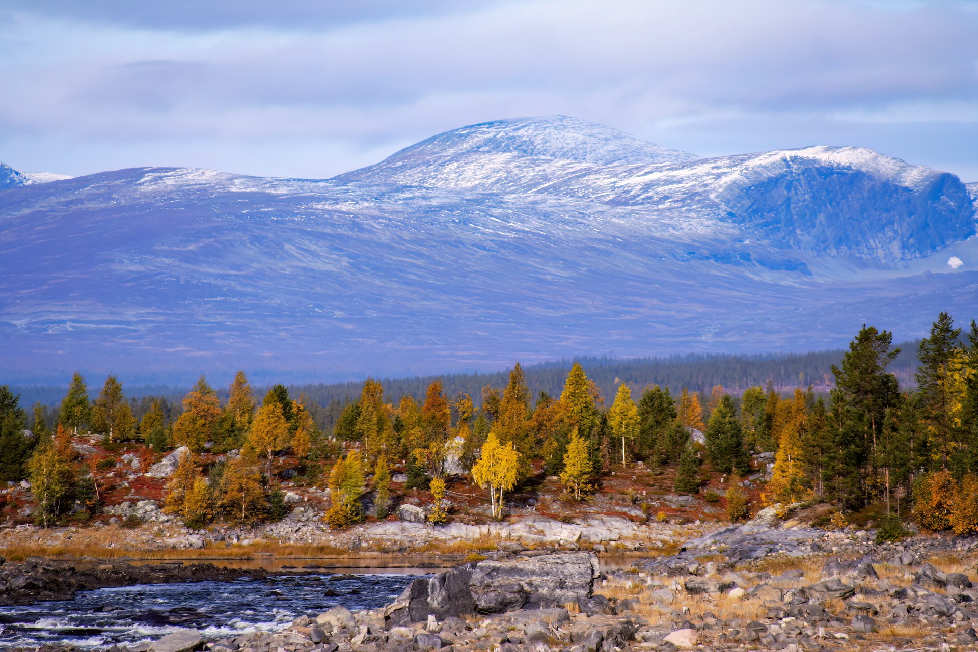 Autumn forest and mountain scenery in Jamtland, Sweden