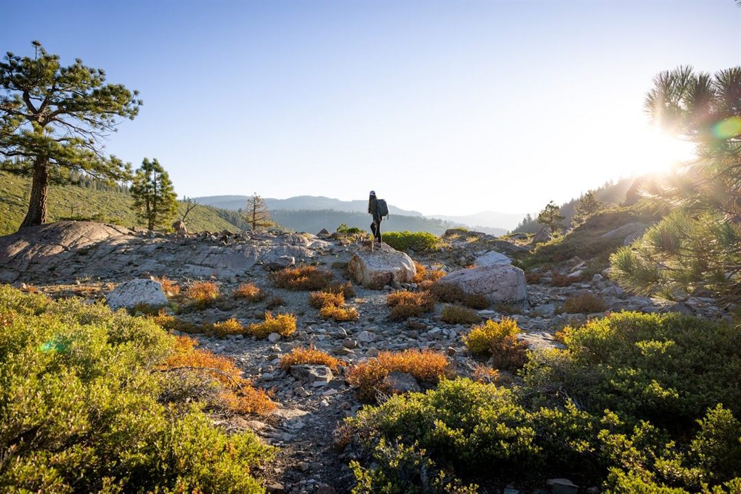 A hiker overlooking a mountain lake at sunrise in California