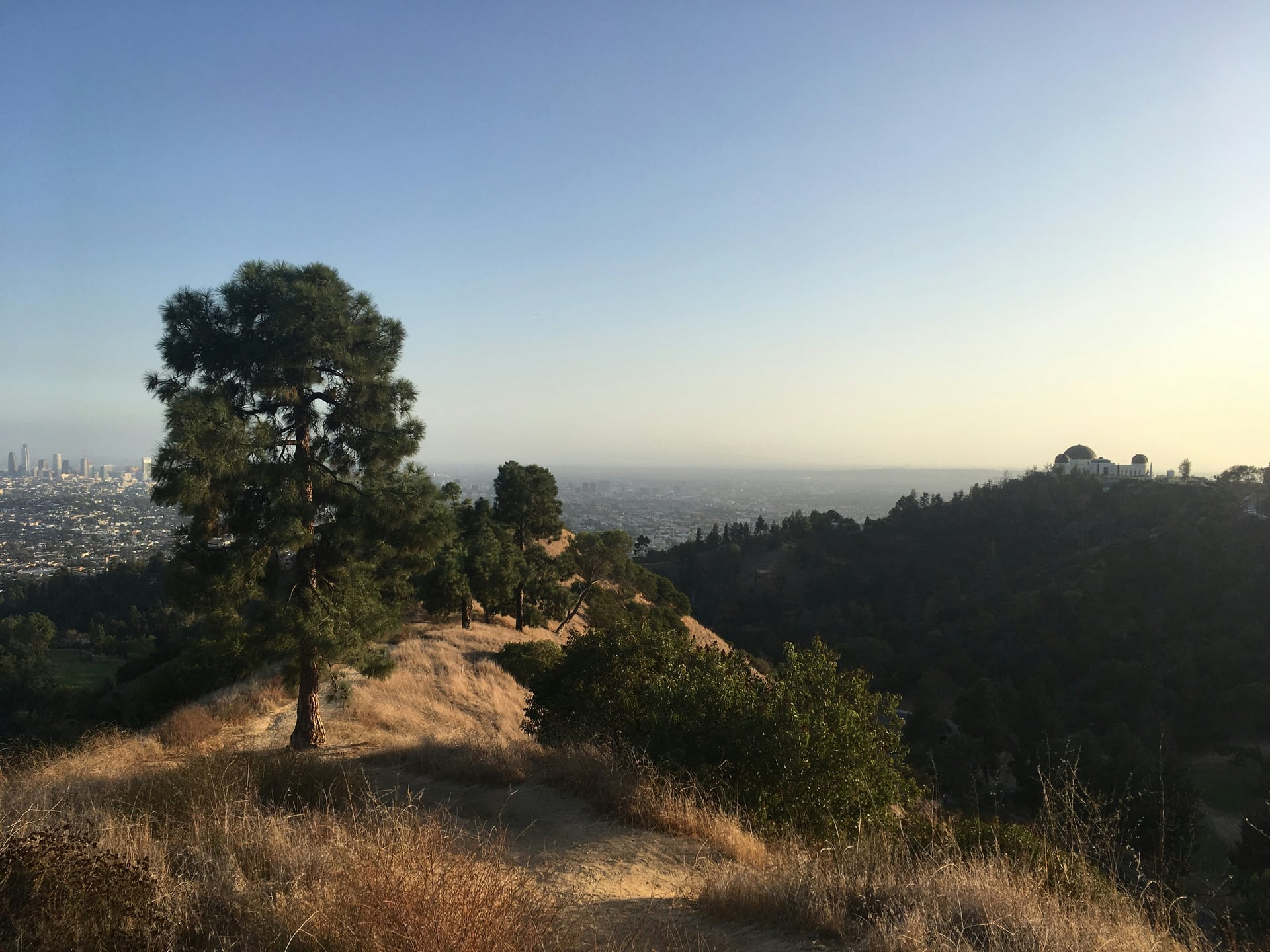 A winding hiking trail through Griffith Park overlooking Los Angeles