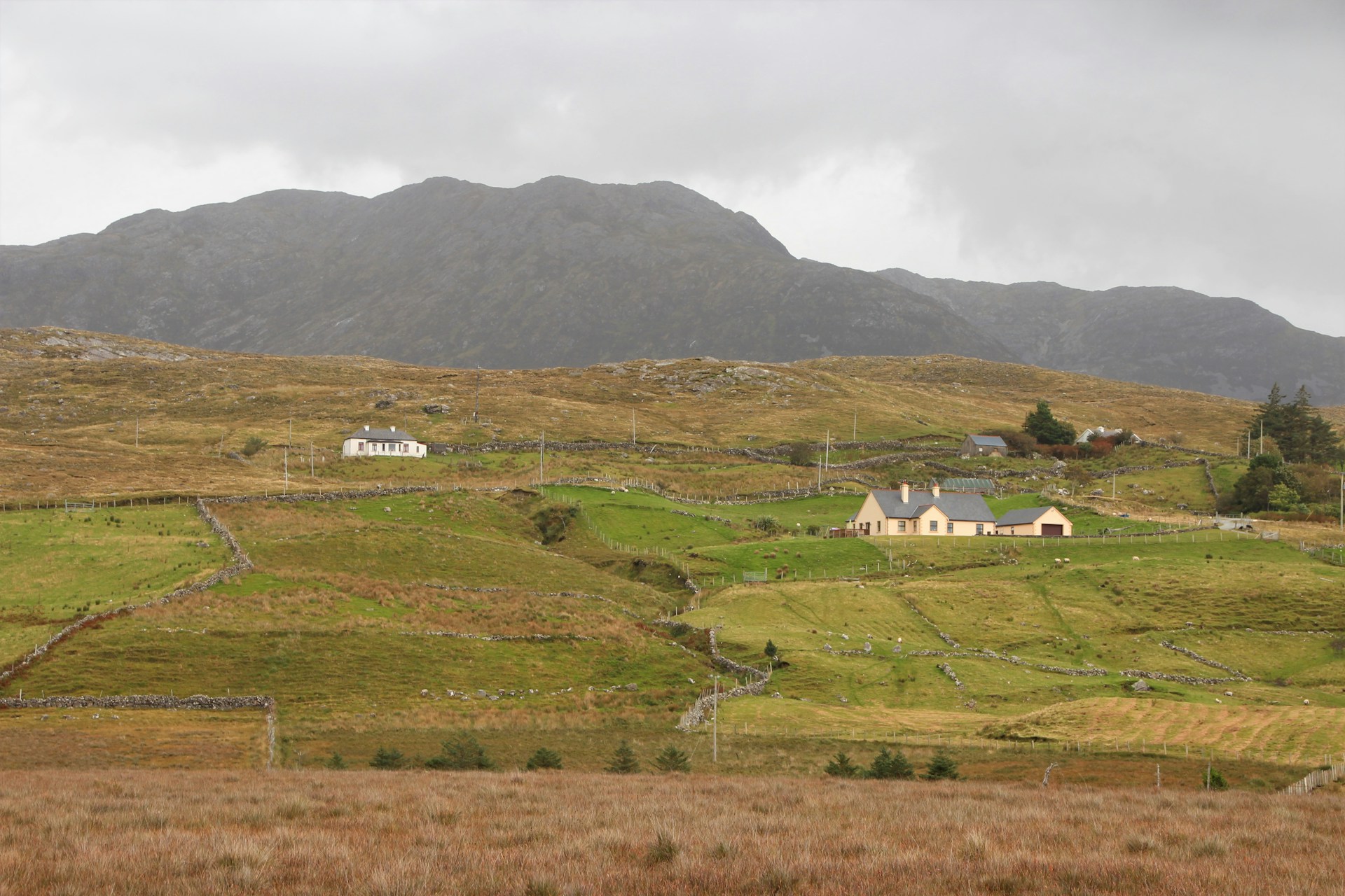 Green hills beneath misty mountains in Connemara National Park