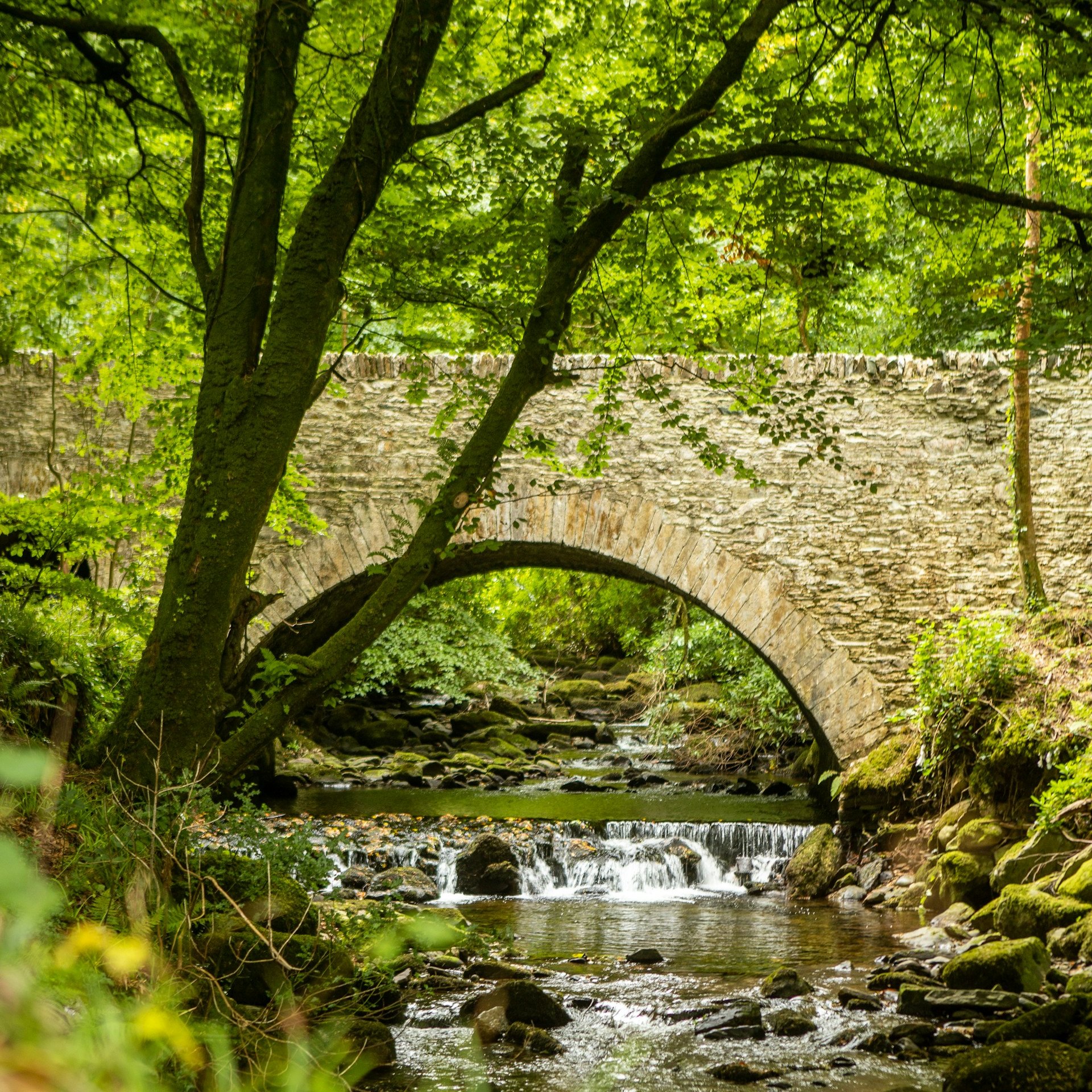 A stone bridge crossing a wooded stream in Killarney National Park