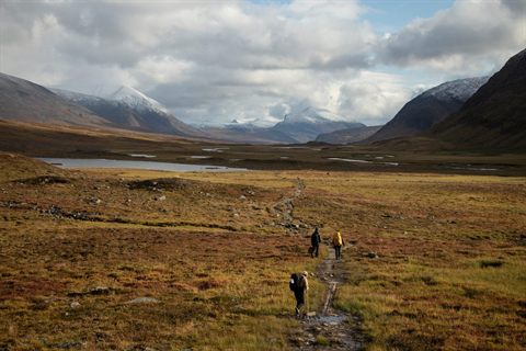 Hikers crossing the autumn tundra beneath snowy mountains in Abisko National Park