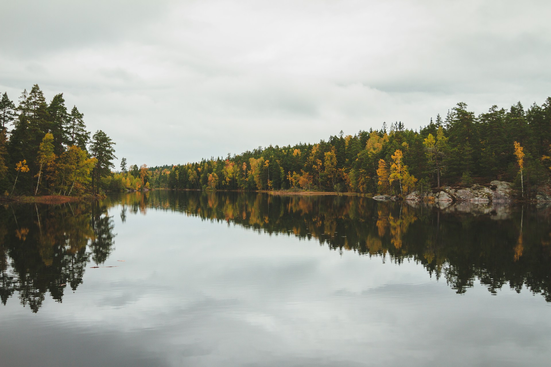 Autumn forest reflected in the water at Tyresta National Park