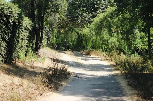 The tree-lined recreation trail through Hiltscher Park