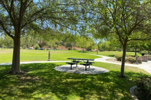 The landscaped viewpoint and surrounding hills at Mountain View Park
