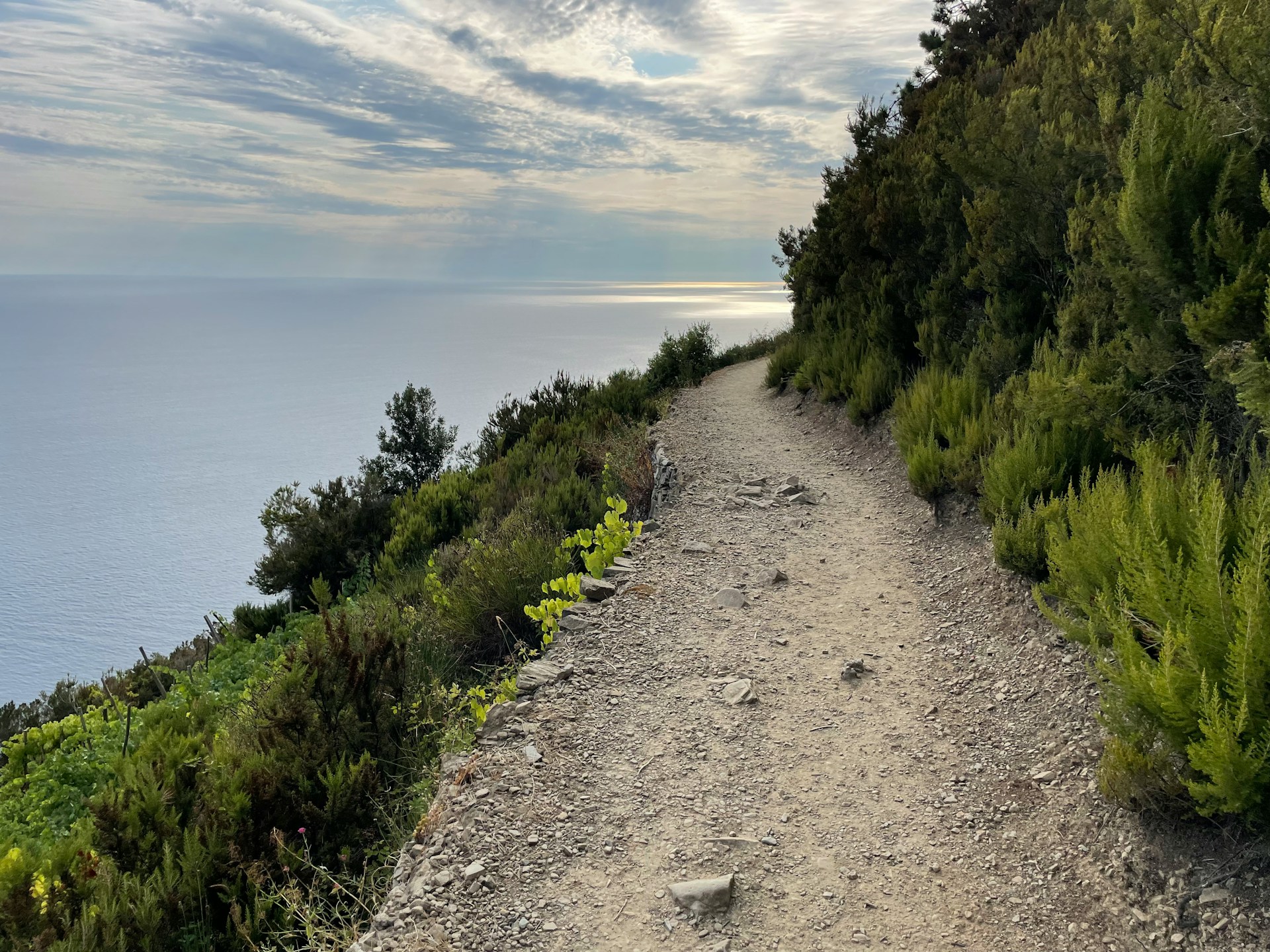 A coastal hiking trail overlooking the Mediterranean in Cinque Terre