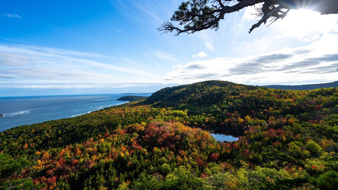 Acadia National Park: Everything You Need To Know