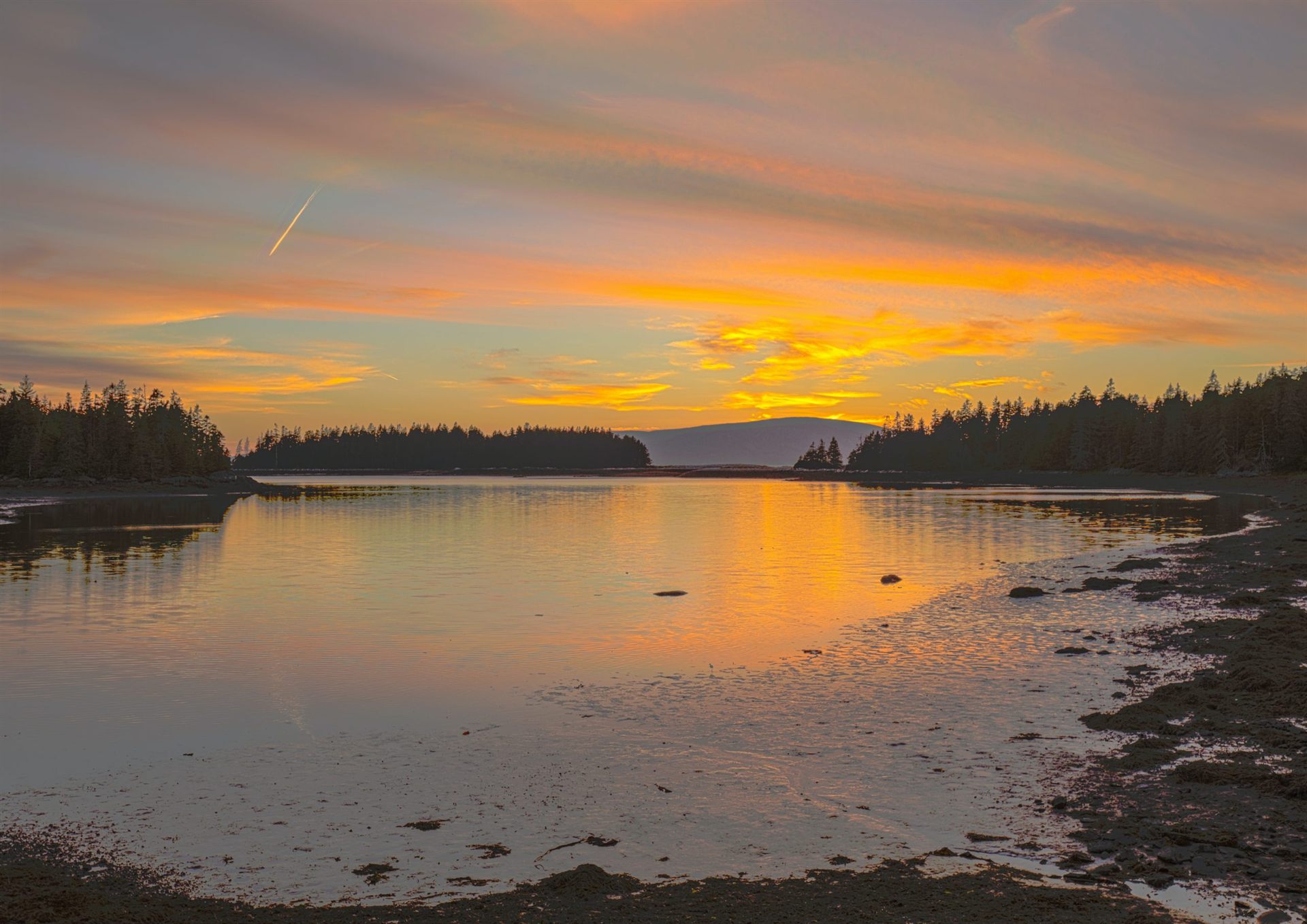 Schoodic Peninsula, Acadia National Park.