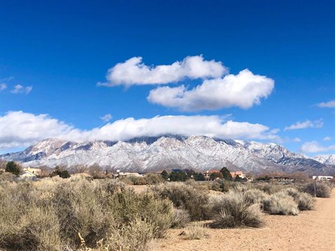 New Mexico Desert Hiking: The Best Albuquerque Hiking Trails