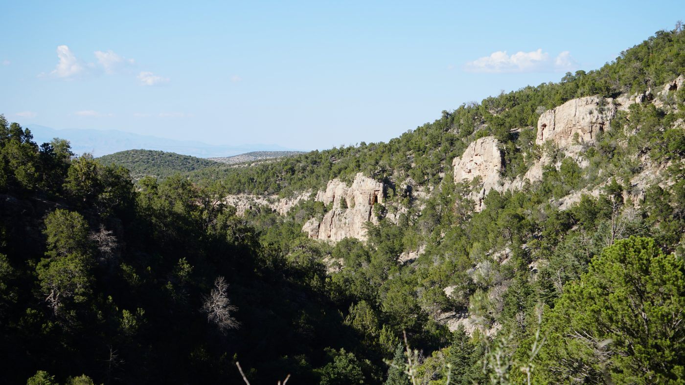 Cibola National Forest