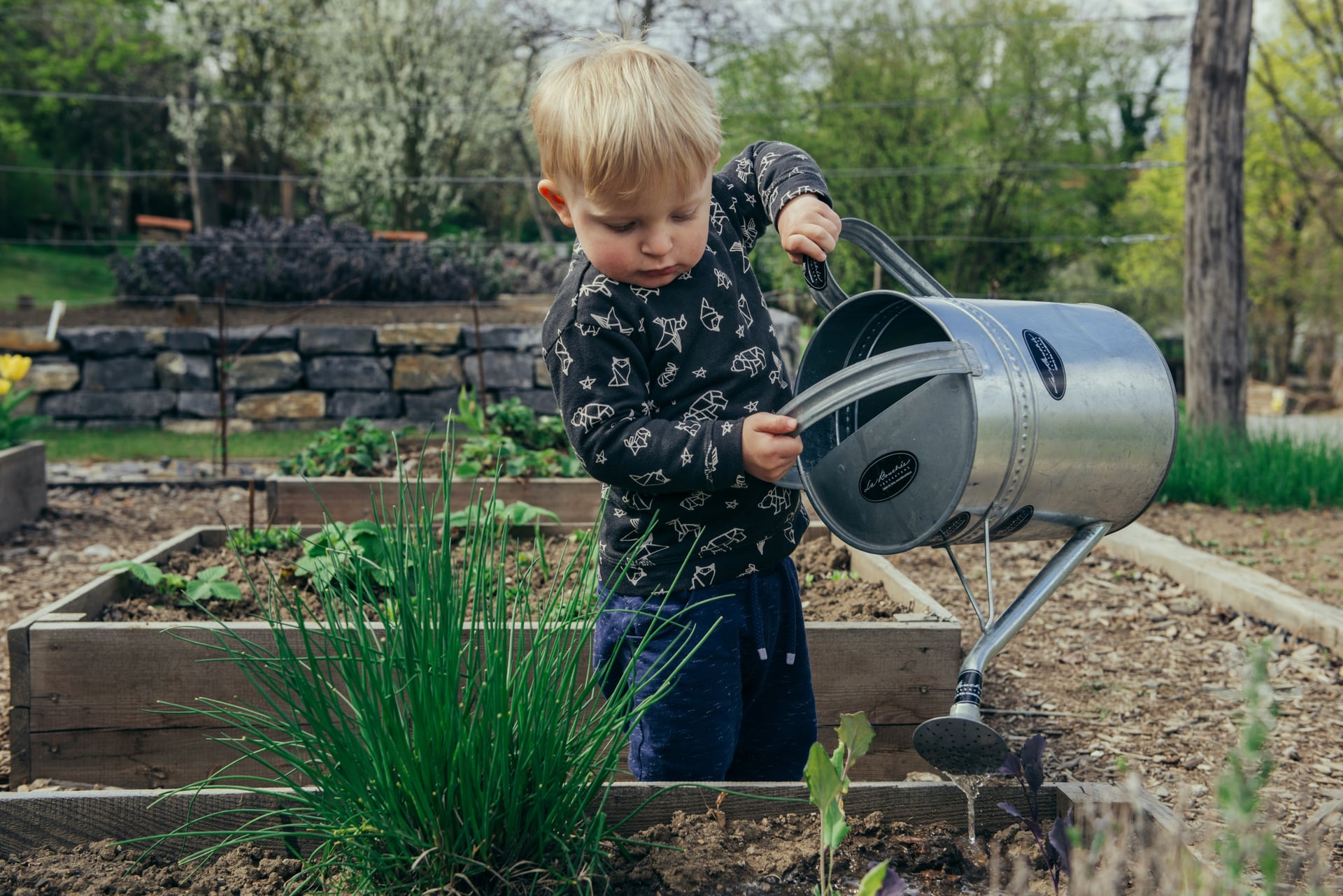 A child learning to care for plants in a garden