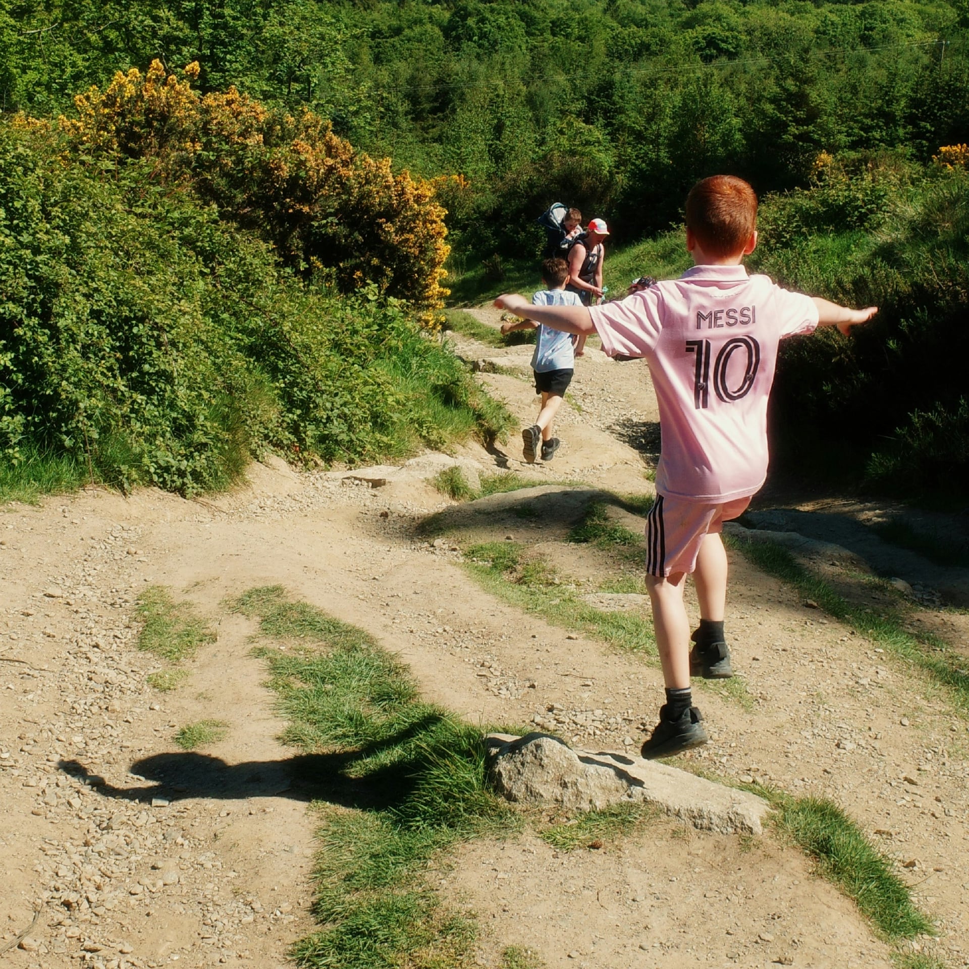 Children hiking together along a sunny woodland trail