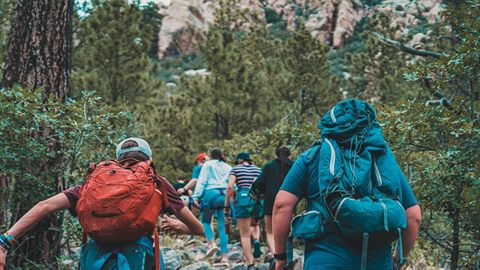 A group of young people hiking together through a forest