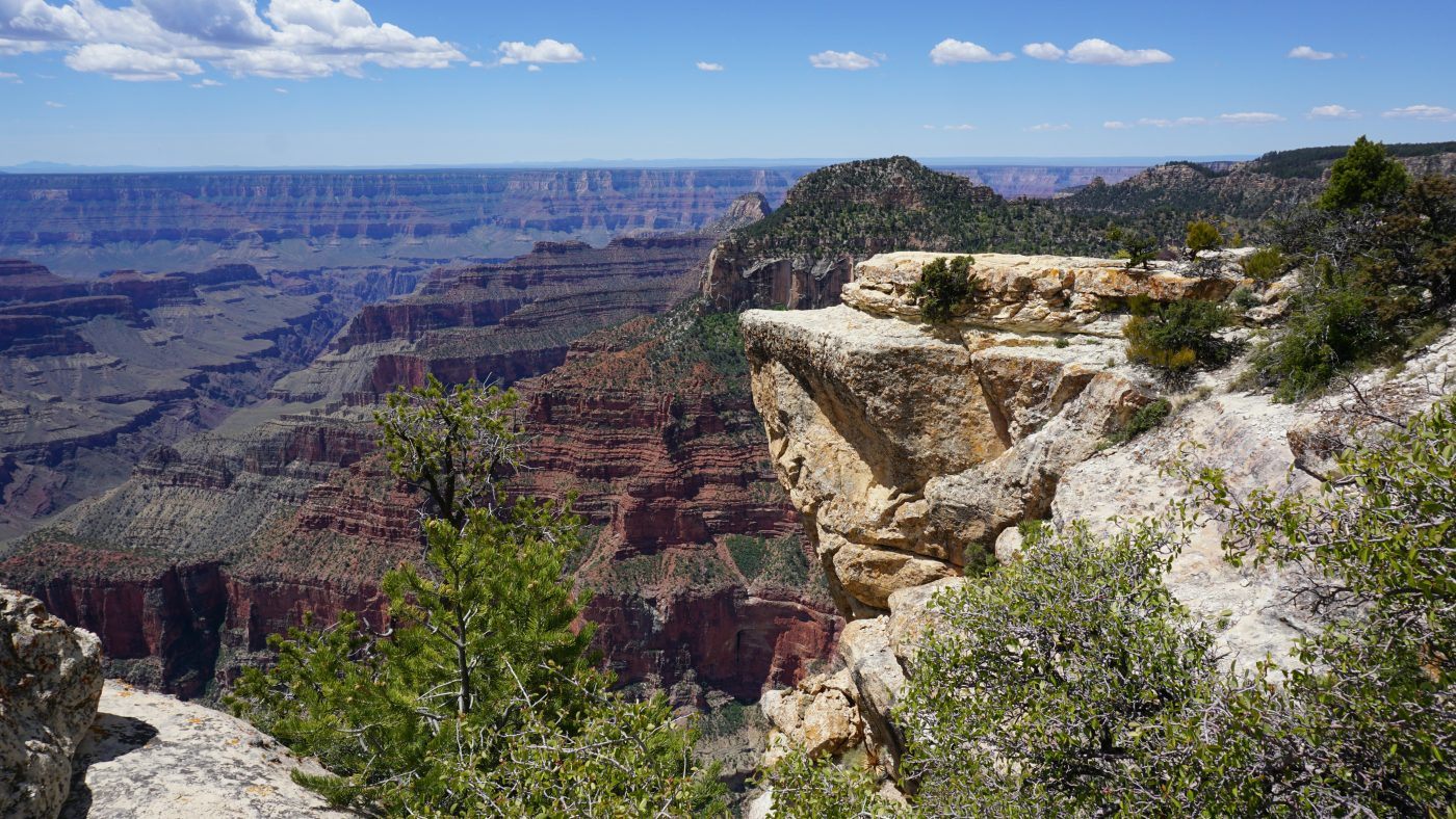 Wilderness in Arizona