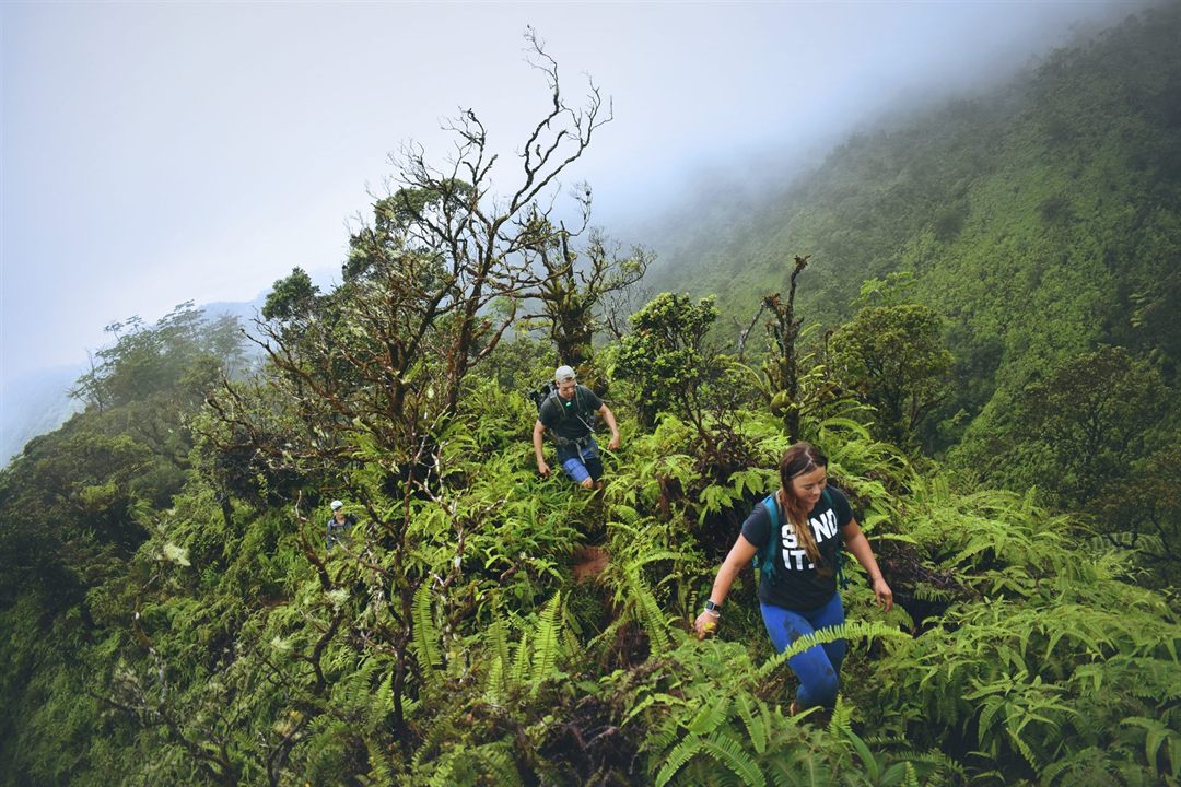 The Benefits of Hiking - What Hiking Can Do for You