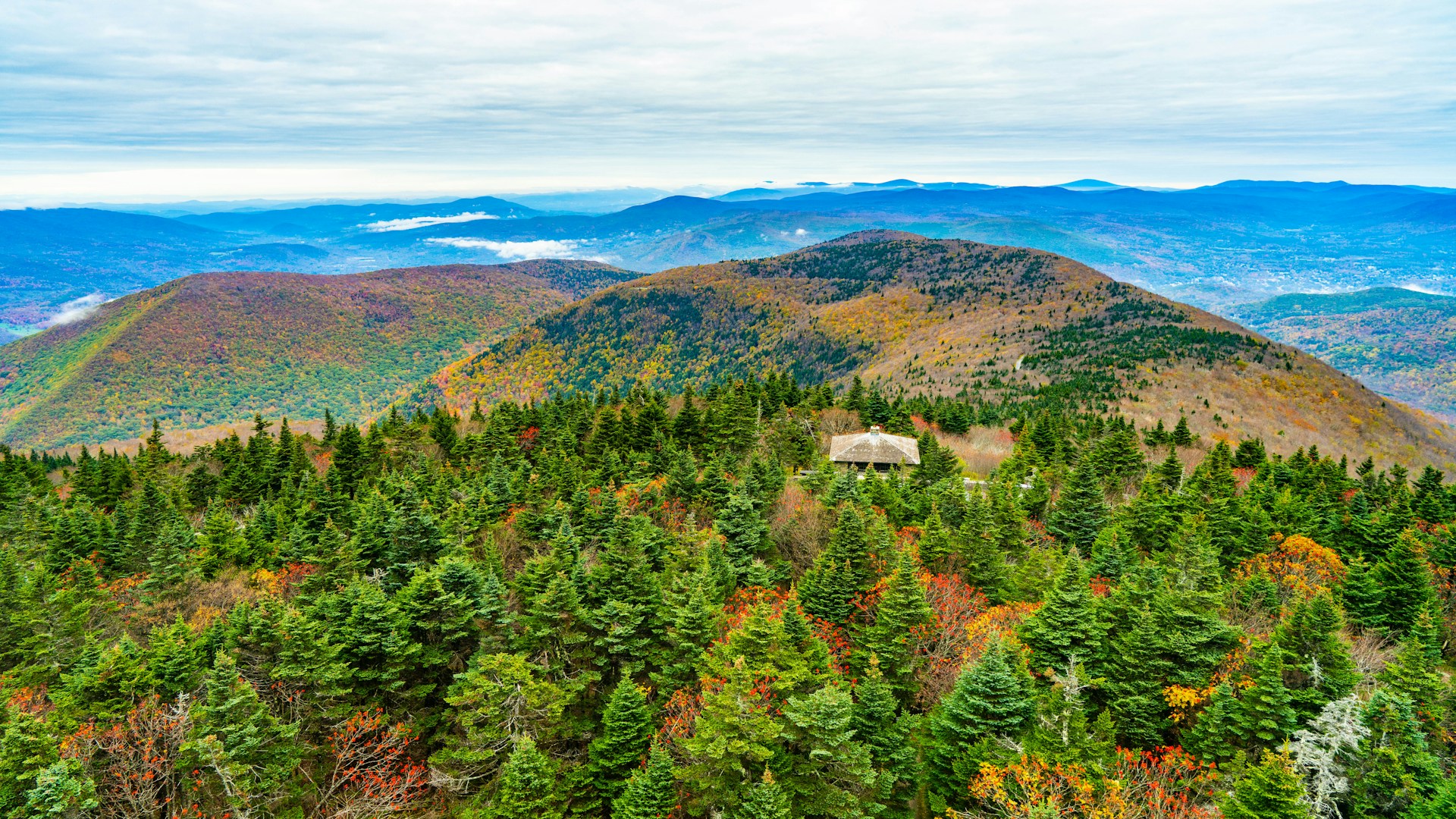 A mountain shelter surrounded by forest on Mount Greylock