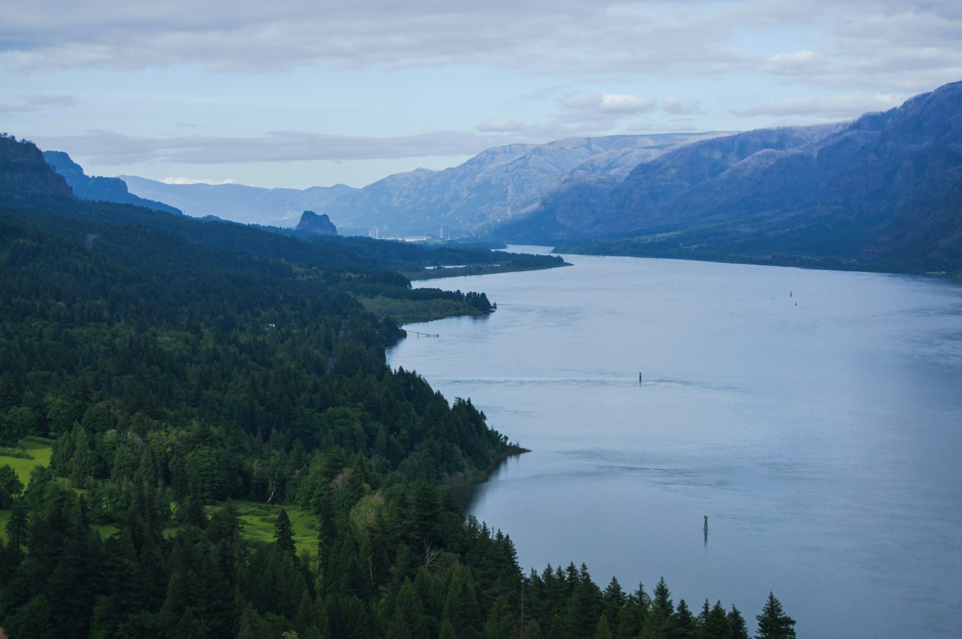 The Columbia River winding between forested gorge walls