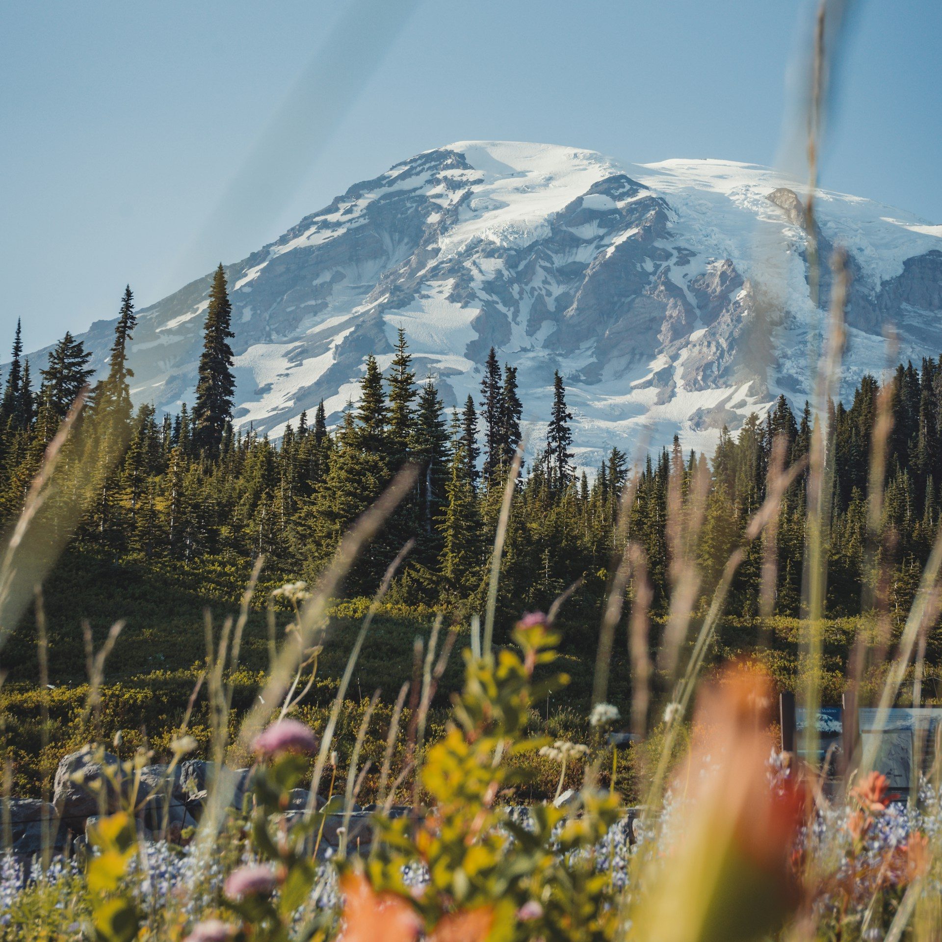 Snow-covered Mount Rainier above the surrounding wilderness