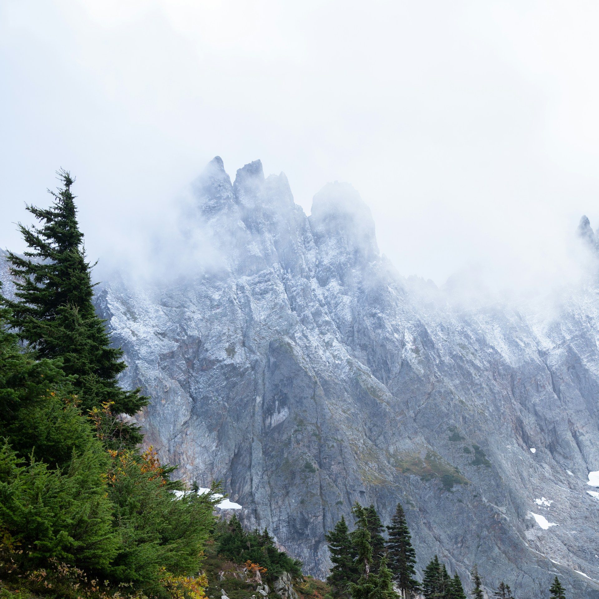 Jagged snowy peaks rising above evergreen forest in North Cascades National Park
