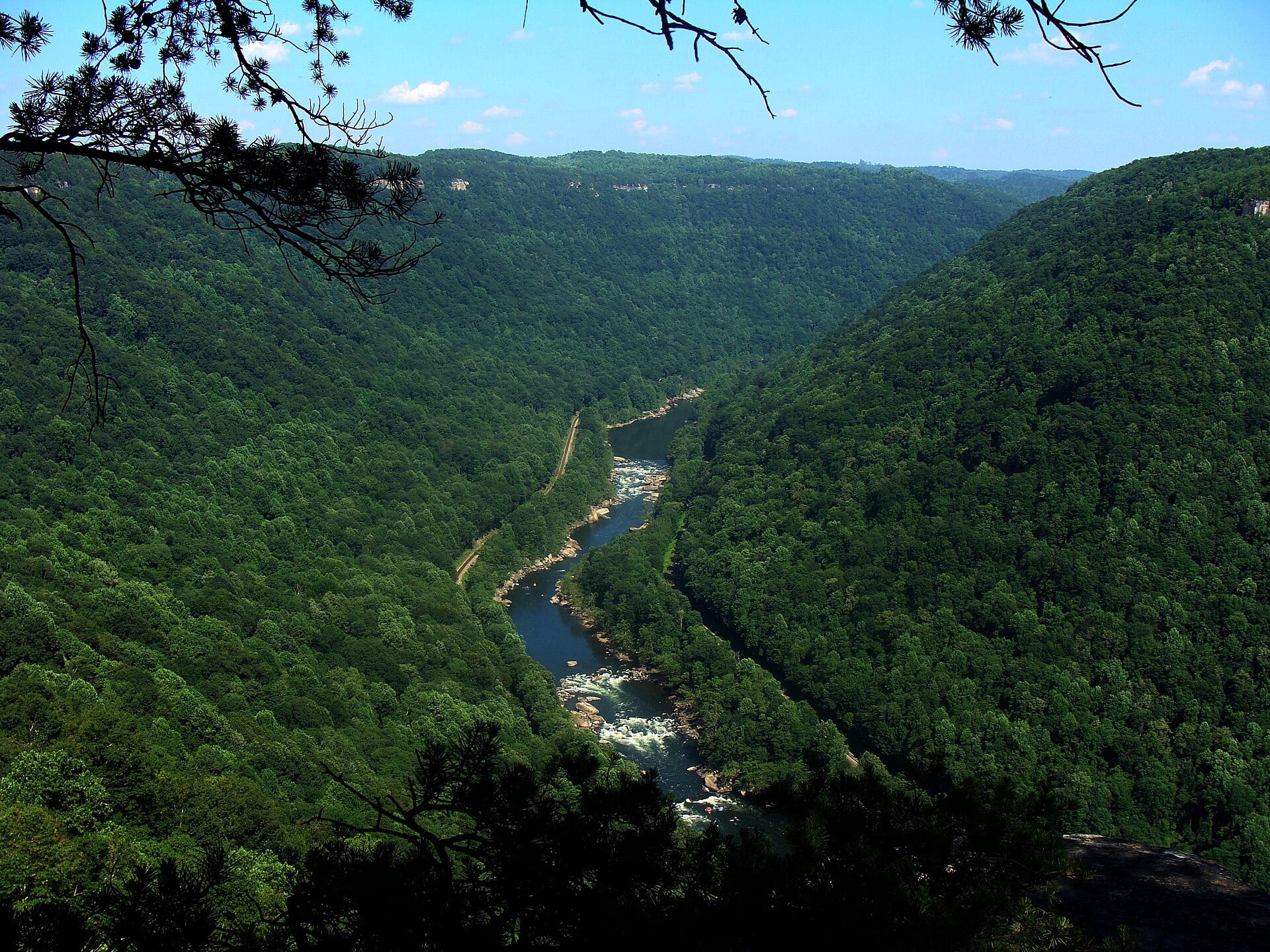 The New River Gorge viewed from Diamond Point on the Endless Wall Trail