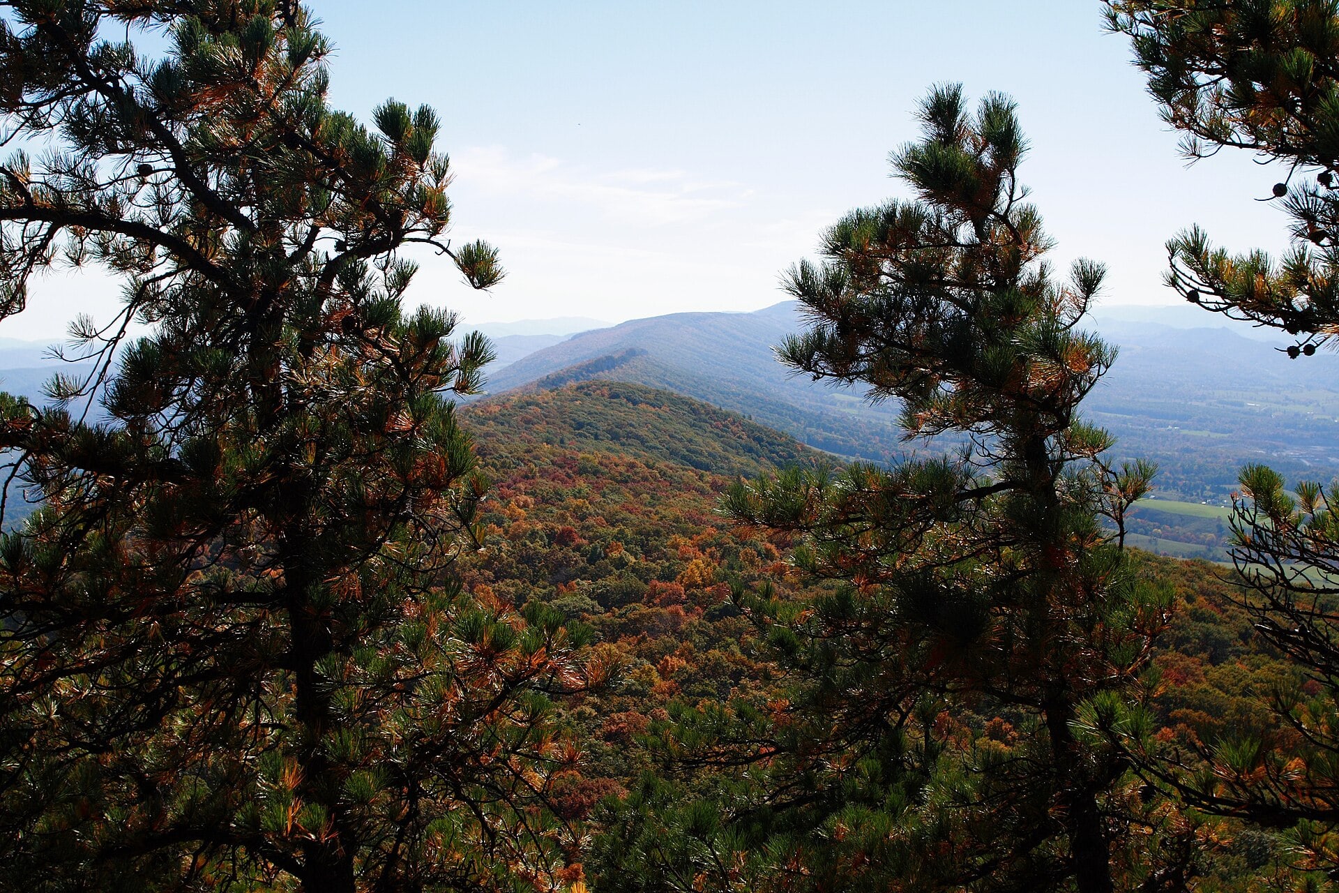 Autumn ridges viewed from the North Fork Mountain Trail in West Virginia