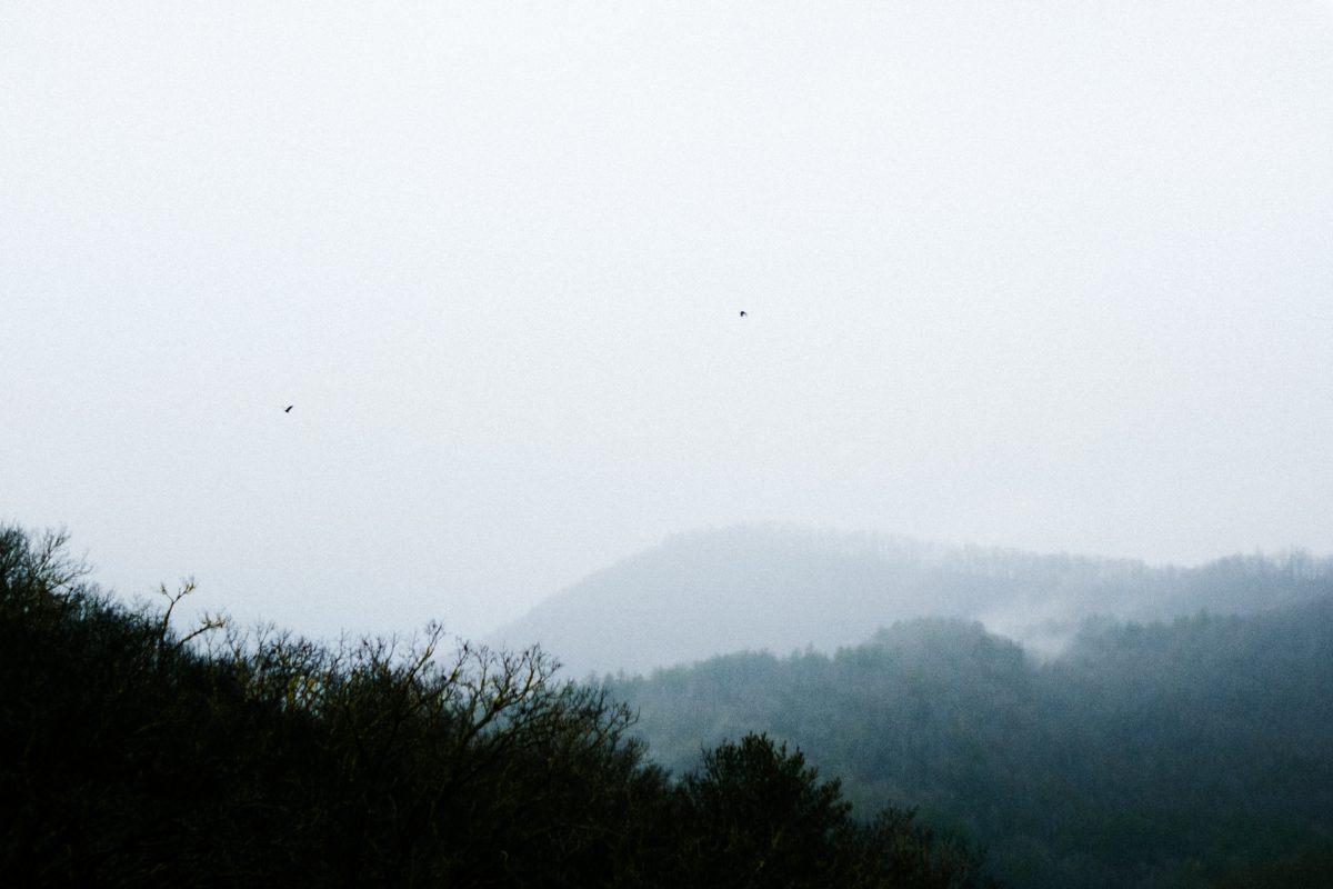 Chattahoochee National Forest, Hiawassee, United States of America
