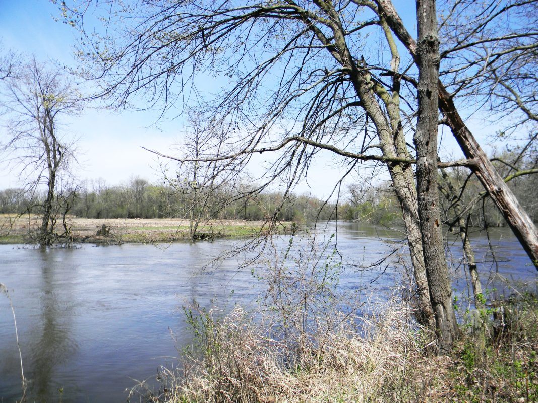 Des Plaines River