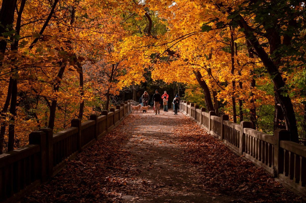Matthiessen State Park