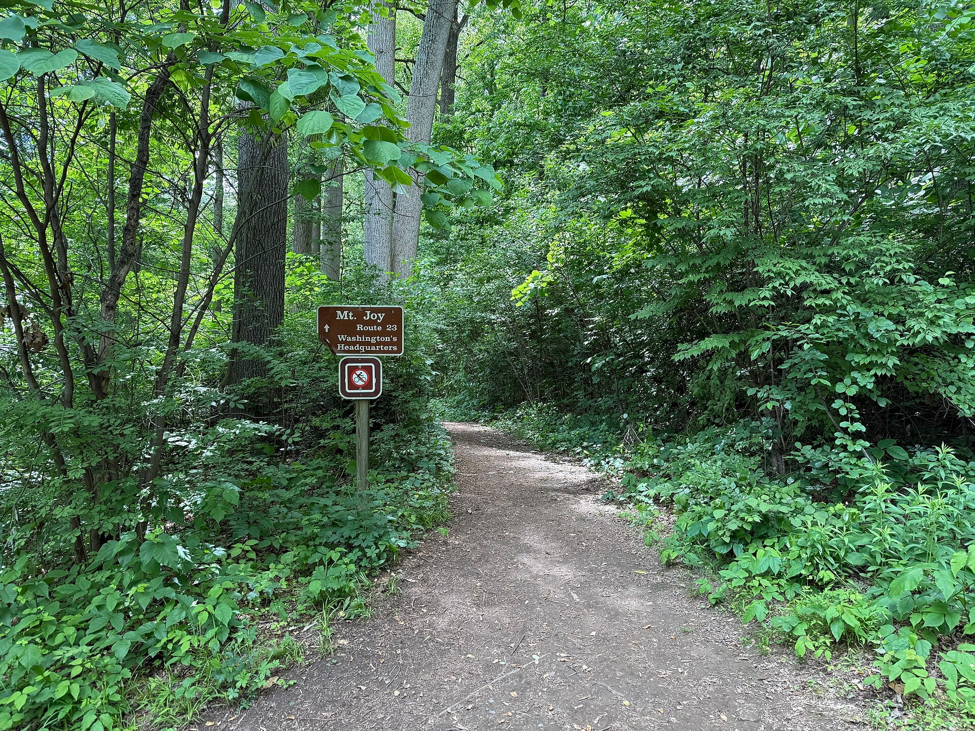 Mount Joy Trail winding through woodland at Valley Forge