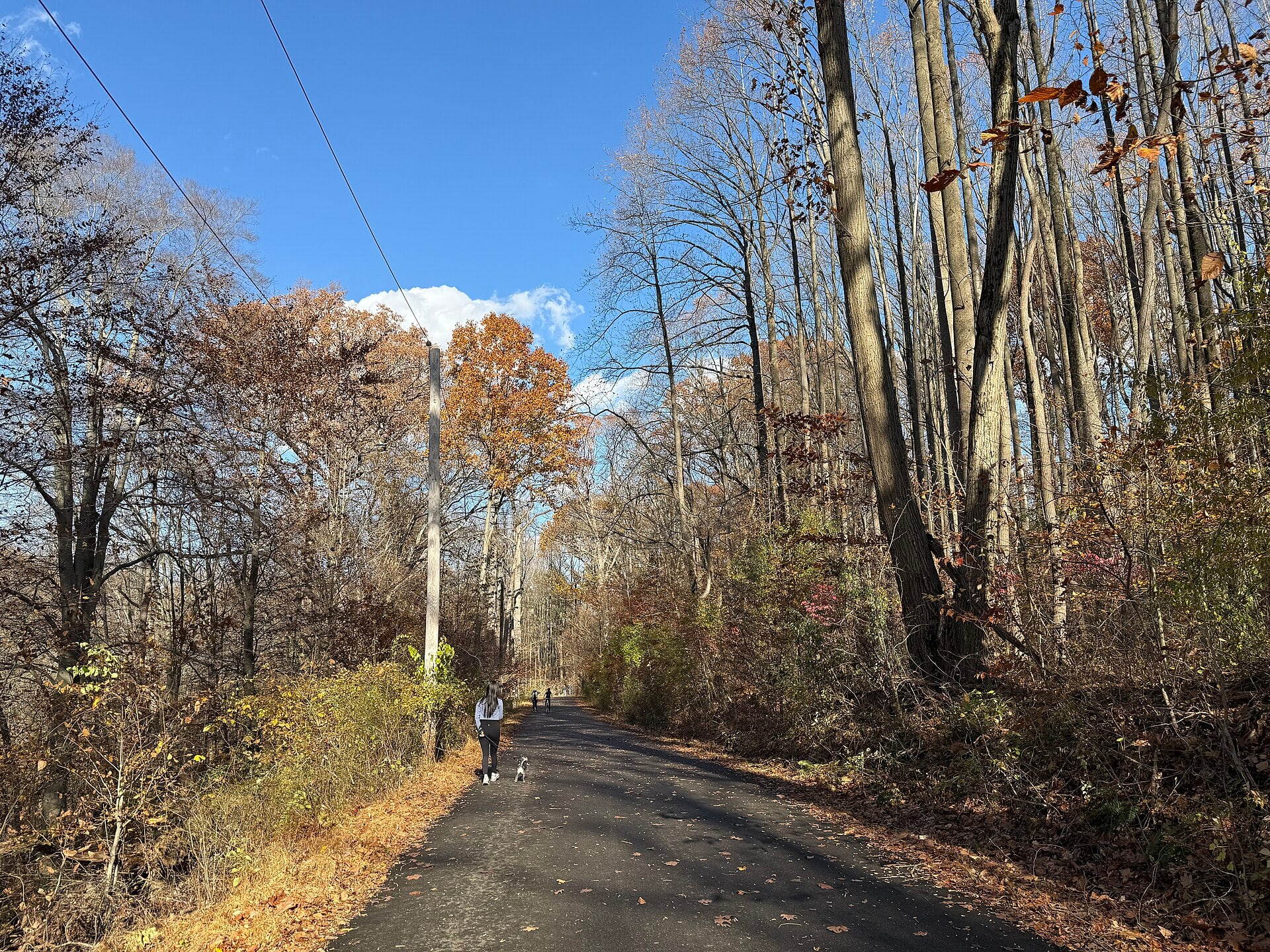 The wooded multi-use trail through Ridley Creek State Park
