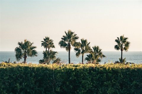 A Guide to the Best Hiking Trails in Corona, California