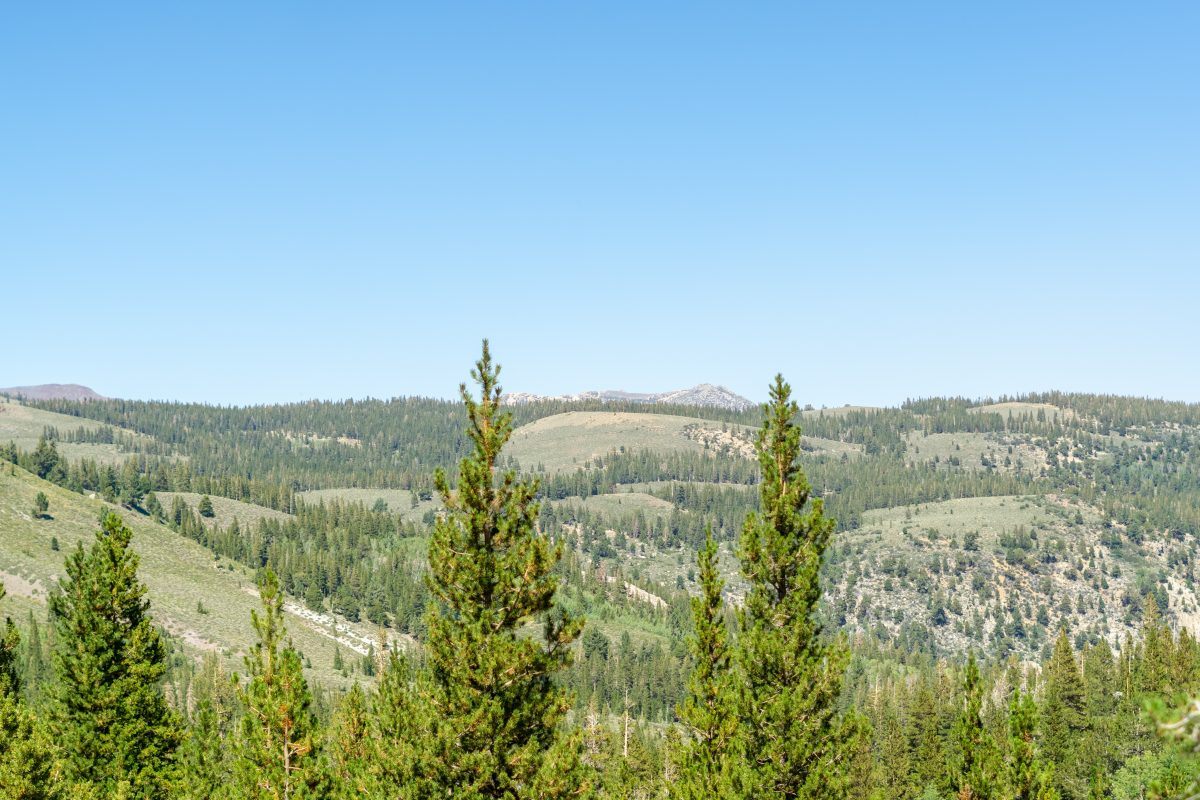 California Wilderness