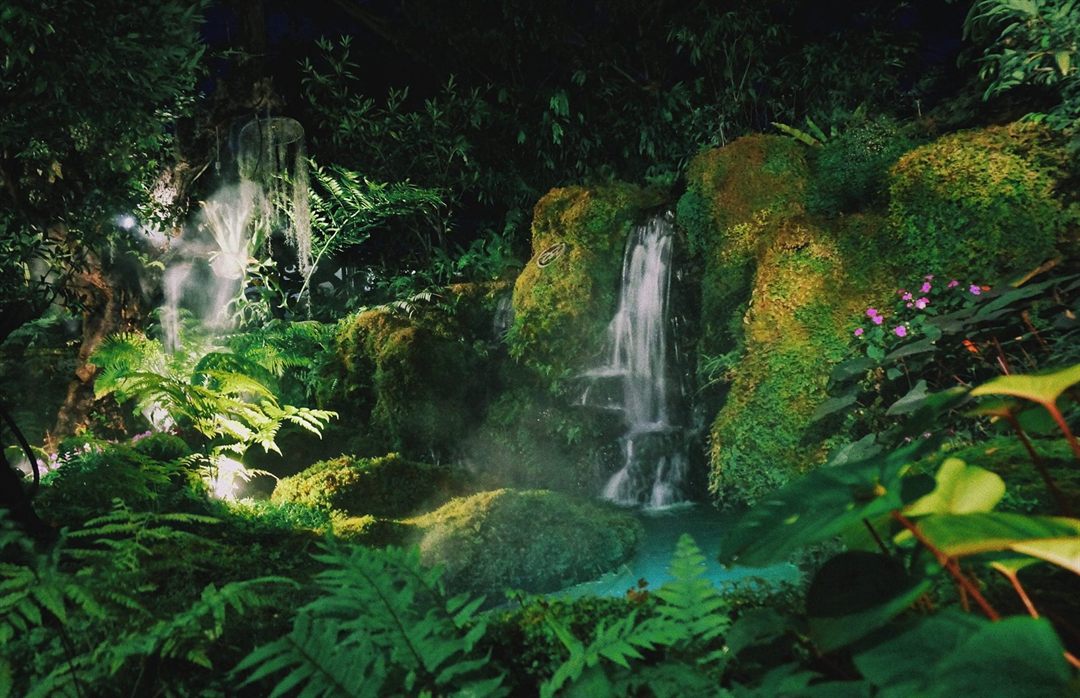 The Best Rainforest Trails in the World