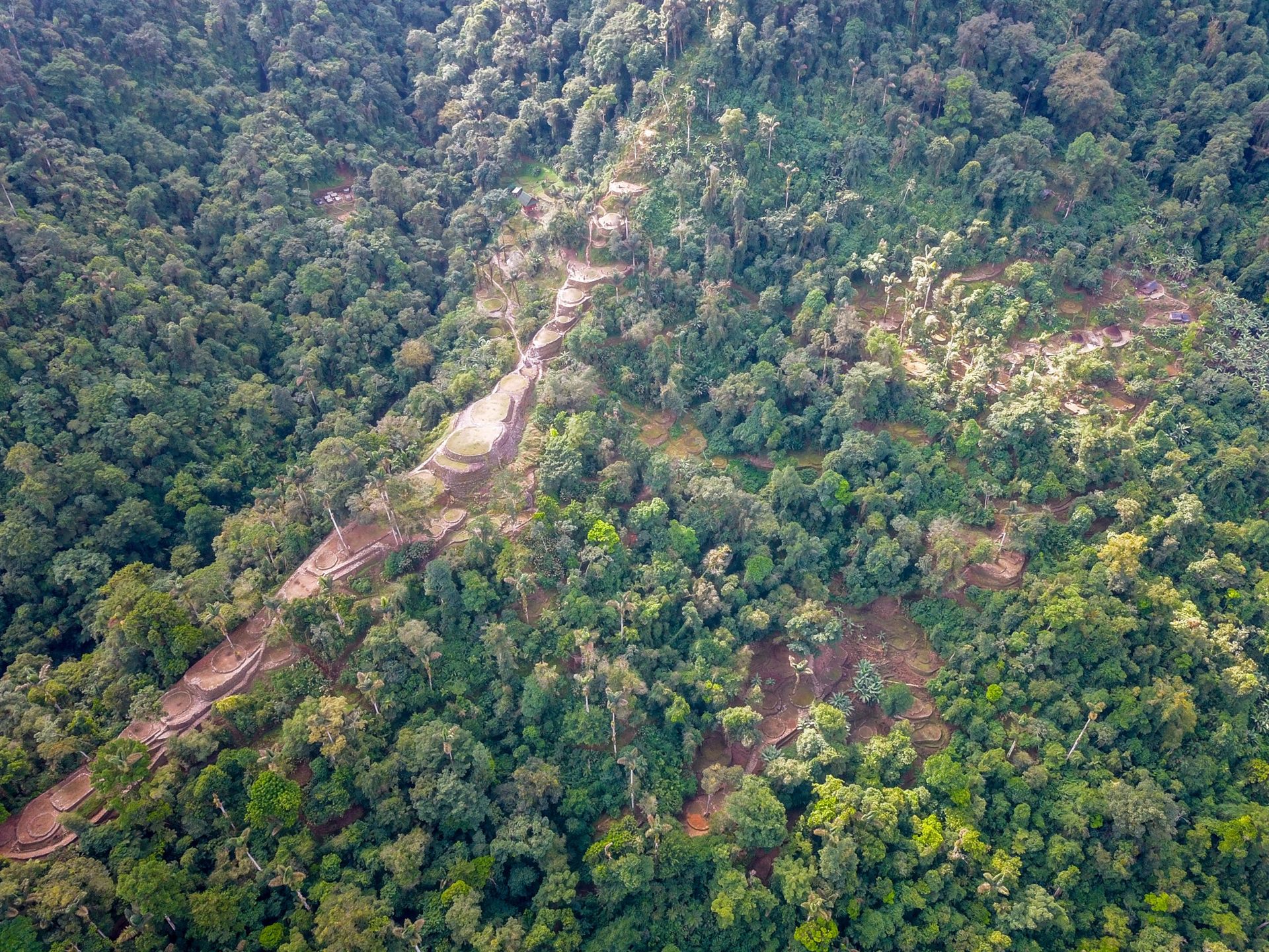Rainforest Trek to Teyuna National Park, Colombia