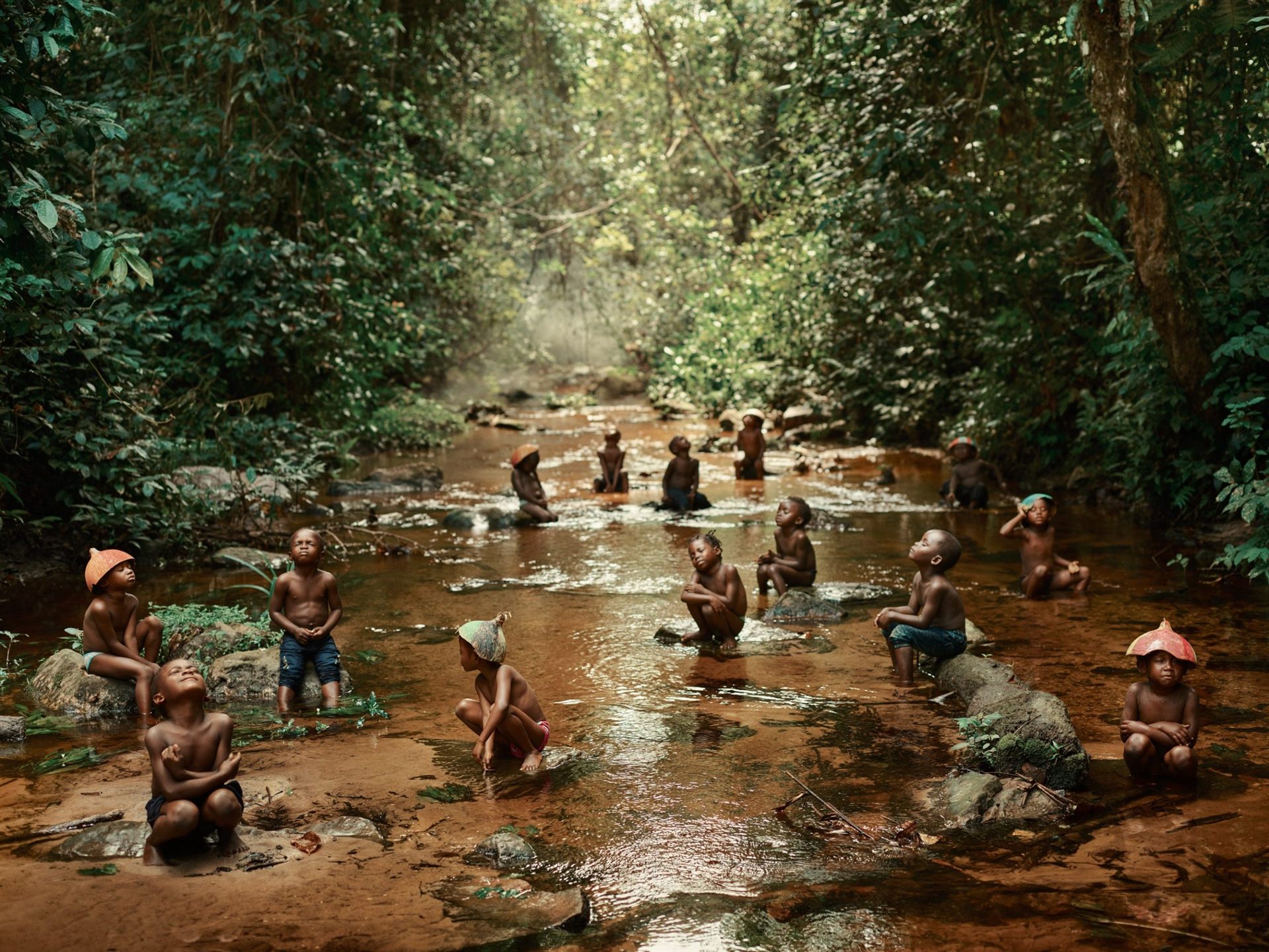 Forest walks in Odzala National Park, Congo
