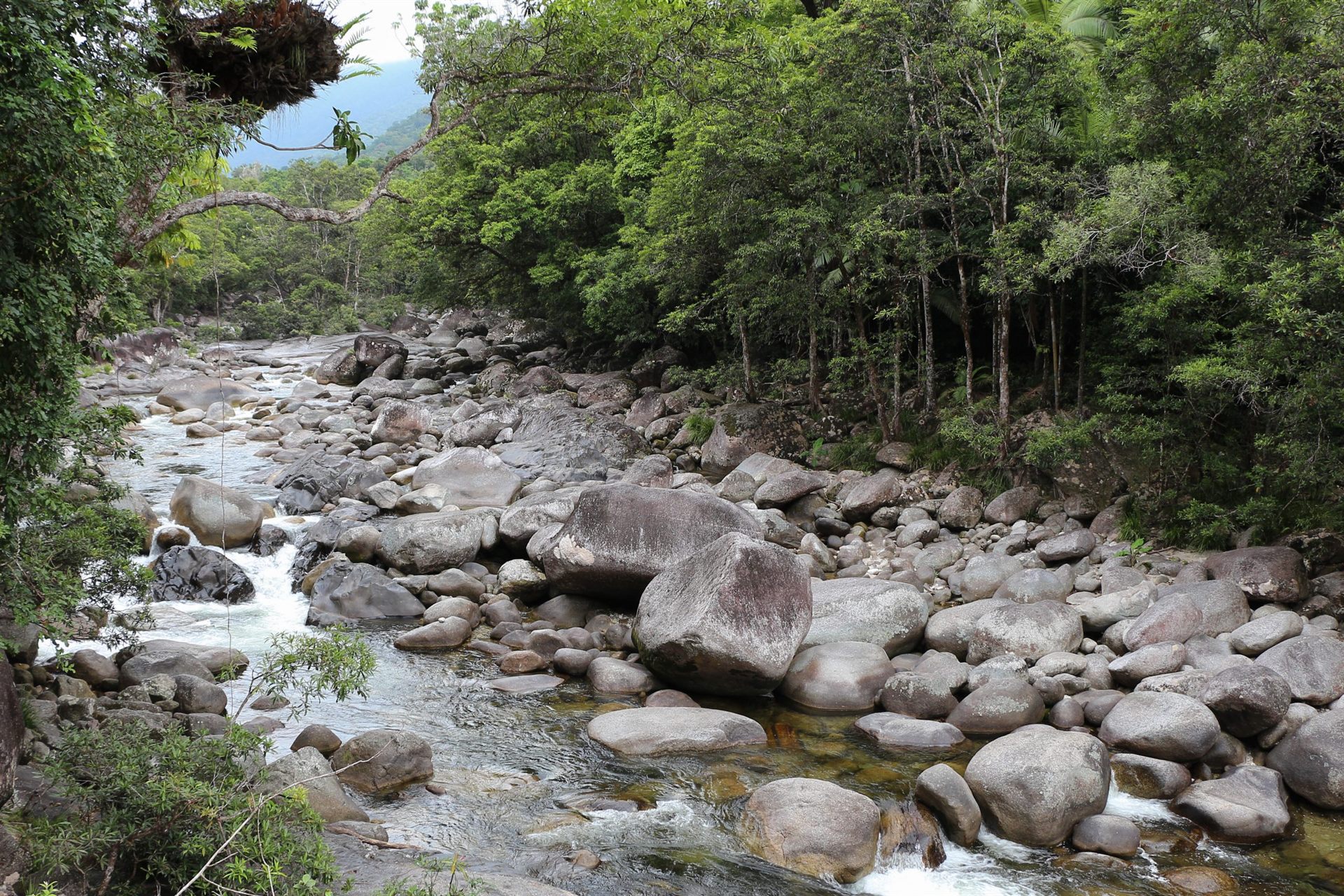Mossman Gorge, Daintree National Park