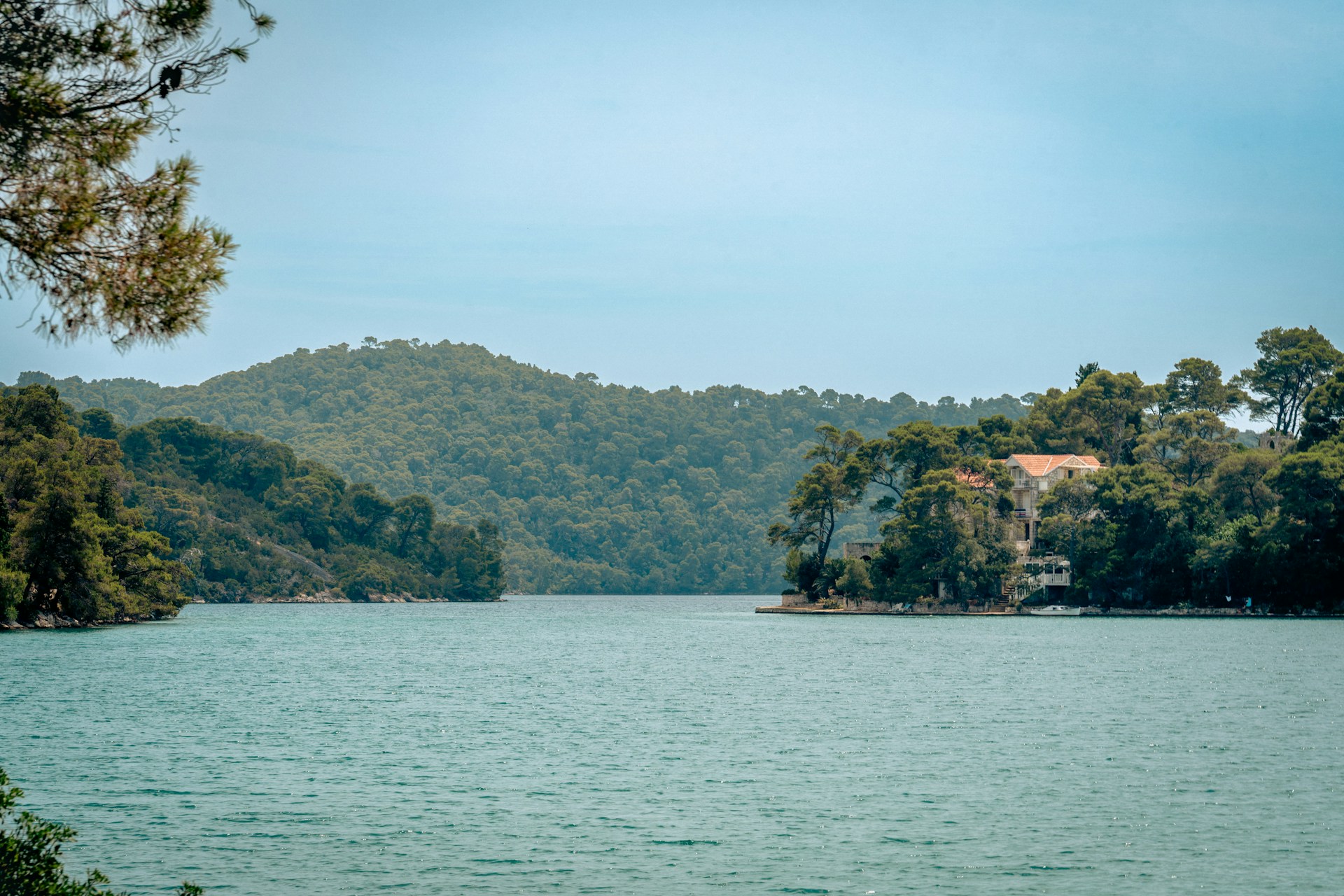 Veliko Jezero lake surrounded by green forest in Mljet National Park