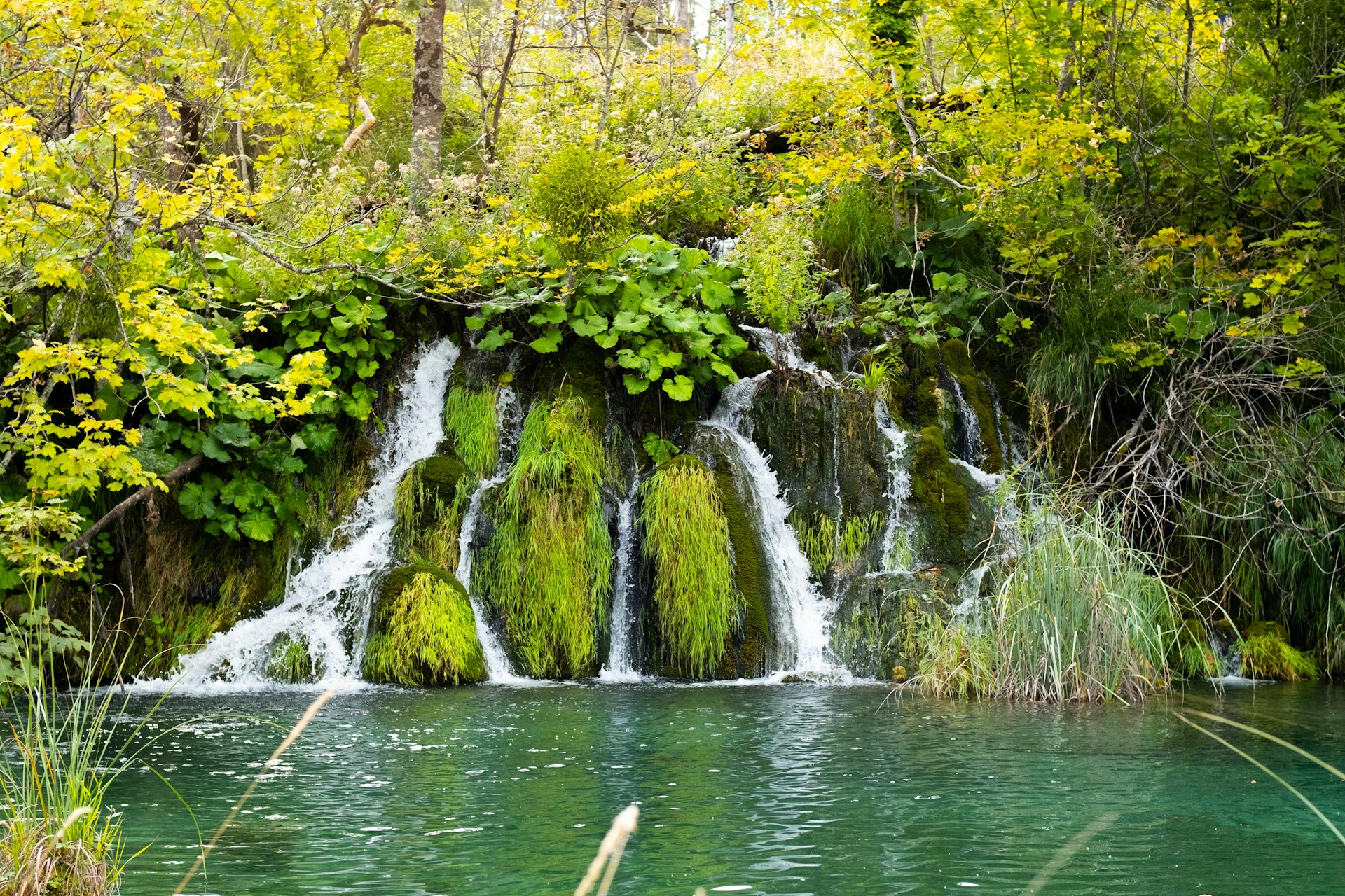 Tiered waterfalls flowing through the forest in Plitvice Lakes National Park