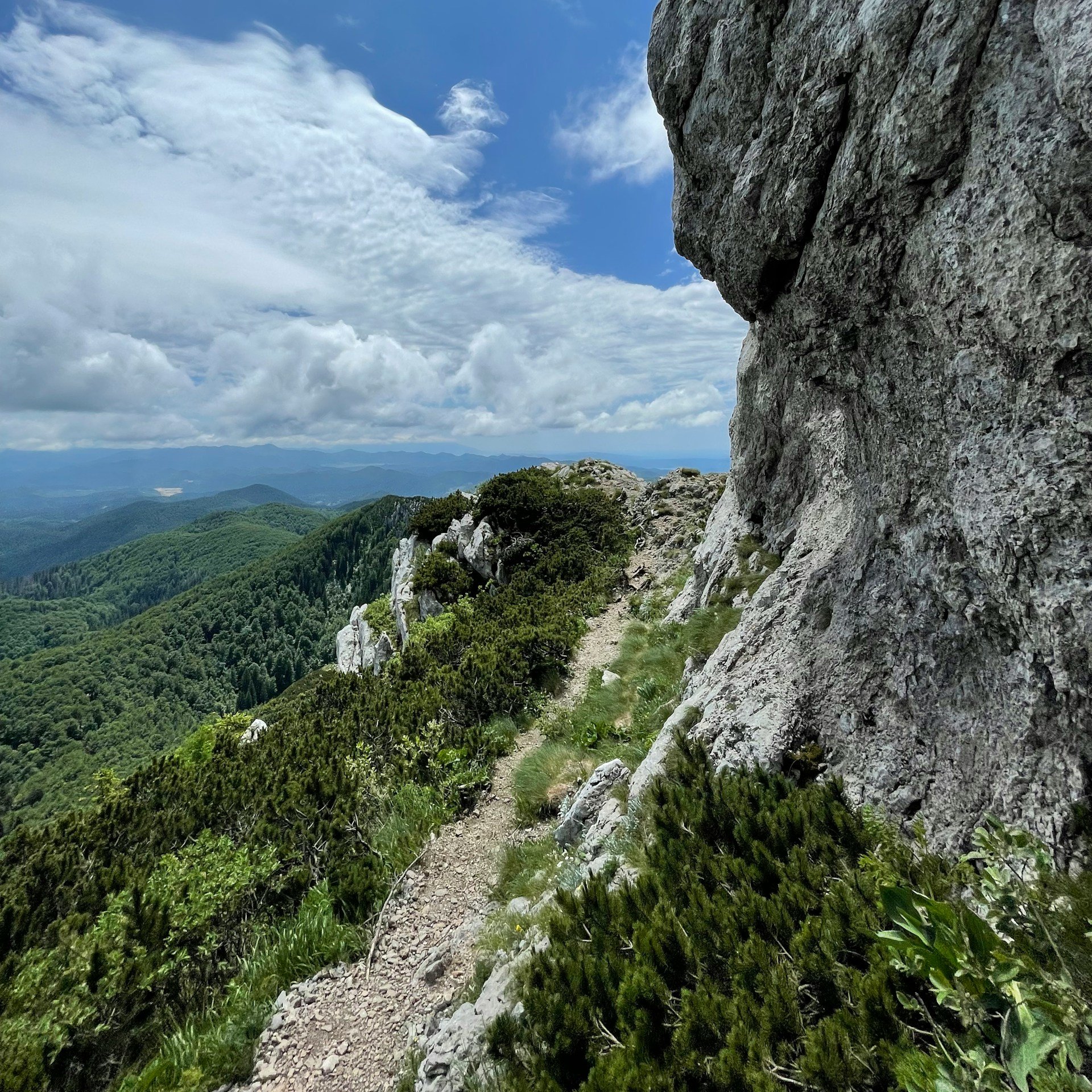 A rocky mountain trail overlooking the forests of Risnjak National Park