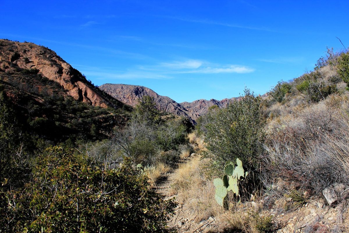 big-bend-national-park-hiking-trails