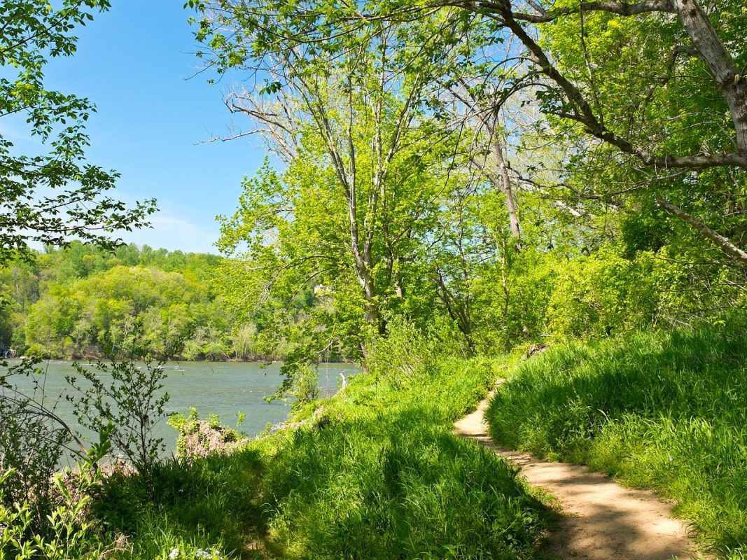 A Trail Section in the Billy Goat Trail