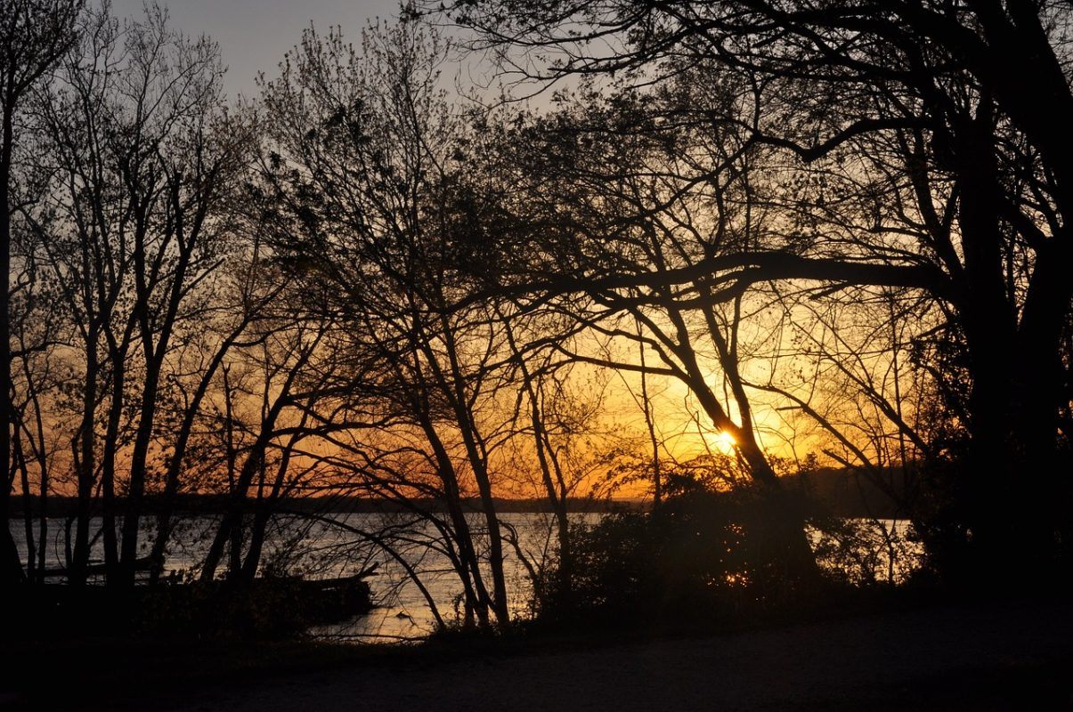A section of the Potomac River