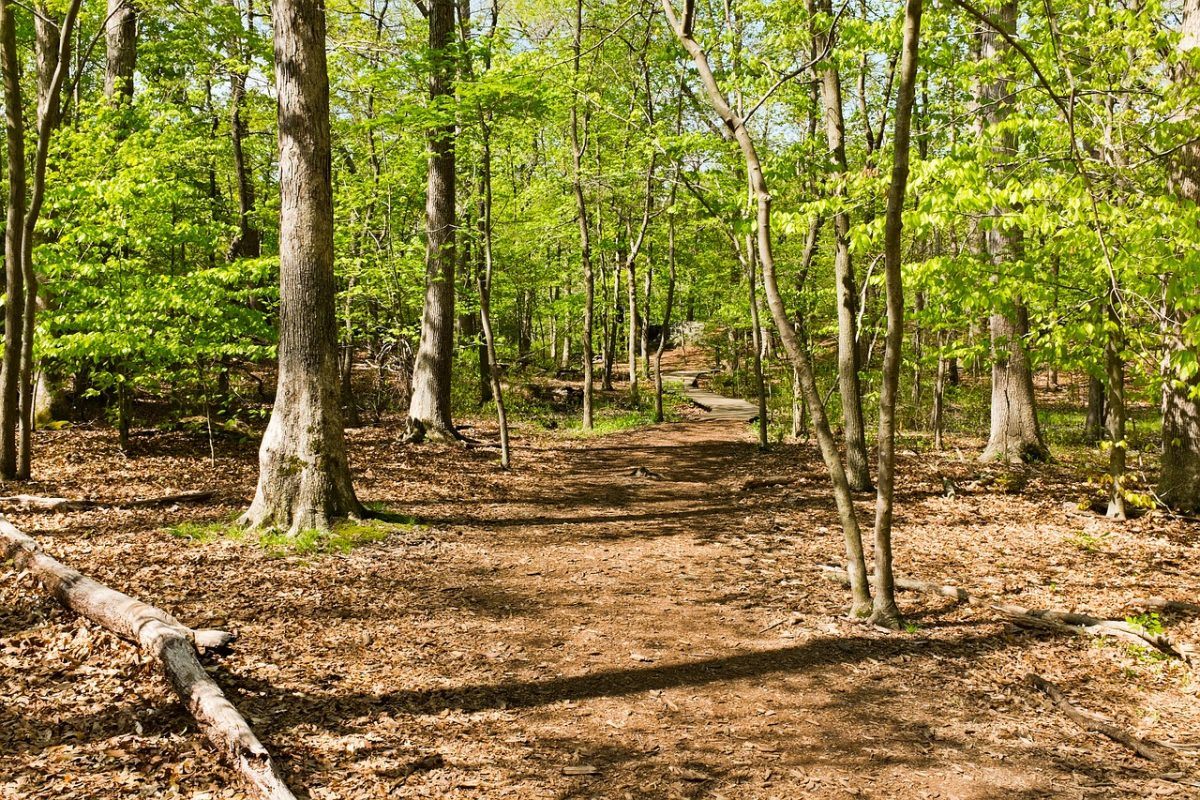 A section of The Billy Goat Trail