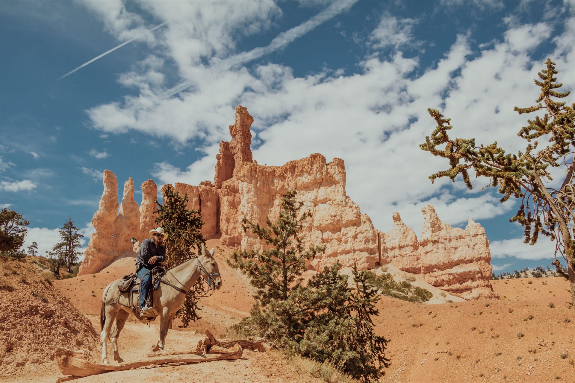 Horseback riding through Bryce Canyon
