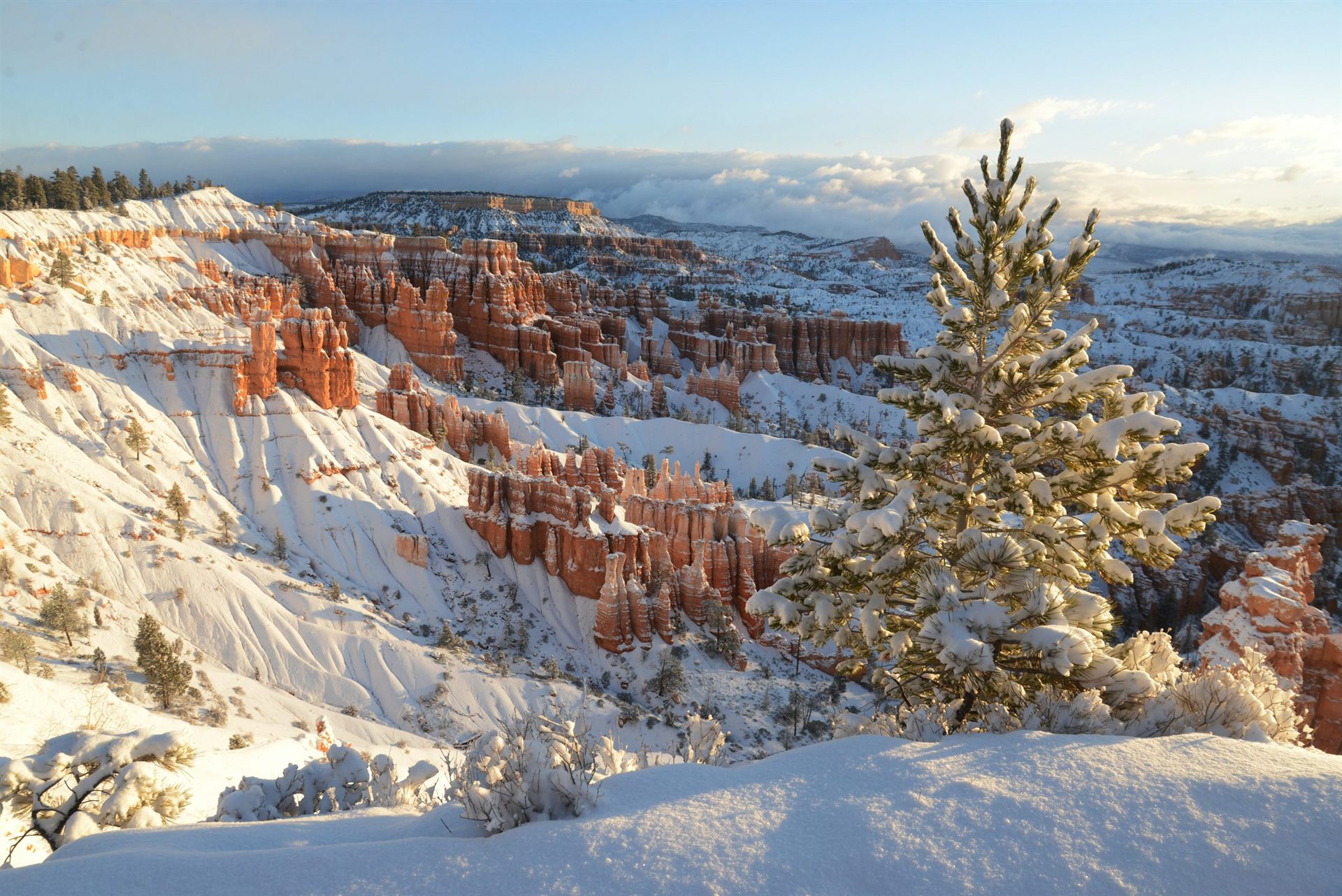 Winter in Bryce Canyon