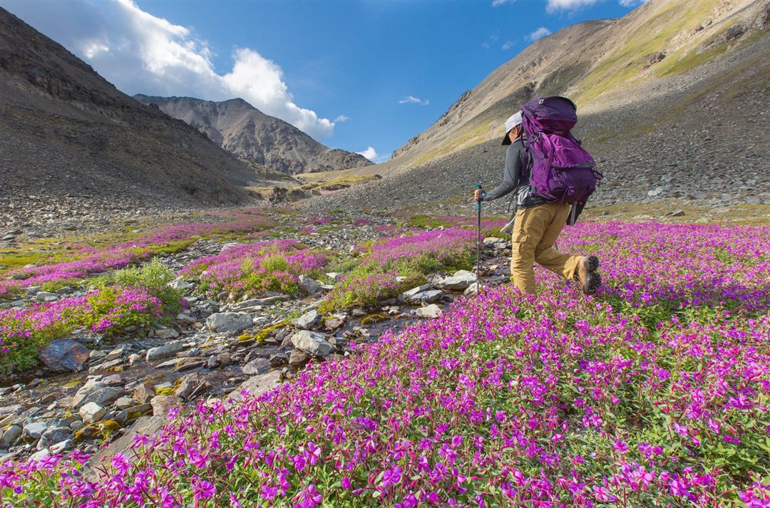 Bushwhacking: The Art of Hiking Without a Trail
